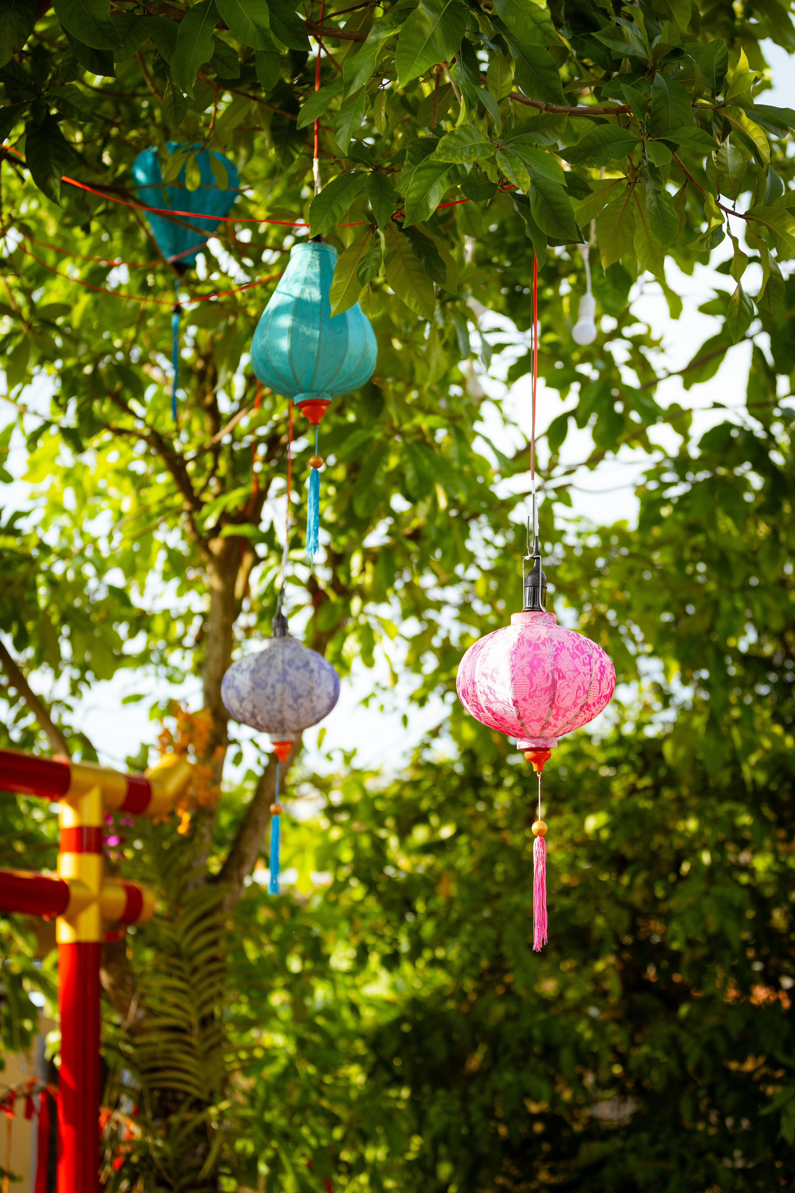 Вьетнам (зима 2025-2026). Фотограф Виноградов Константин