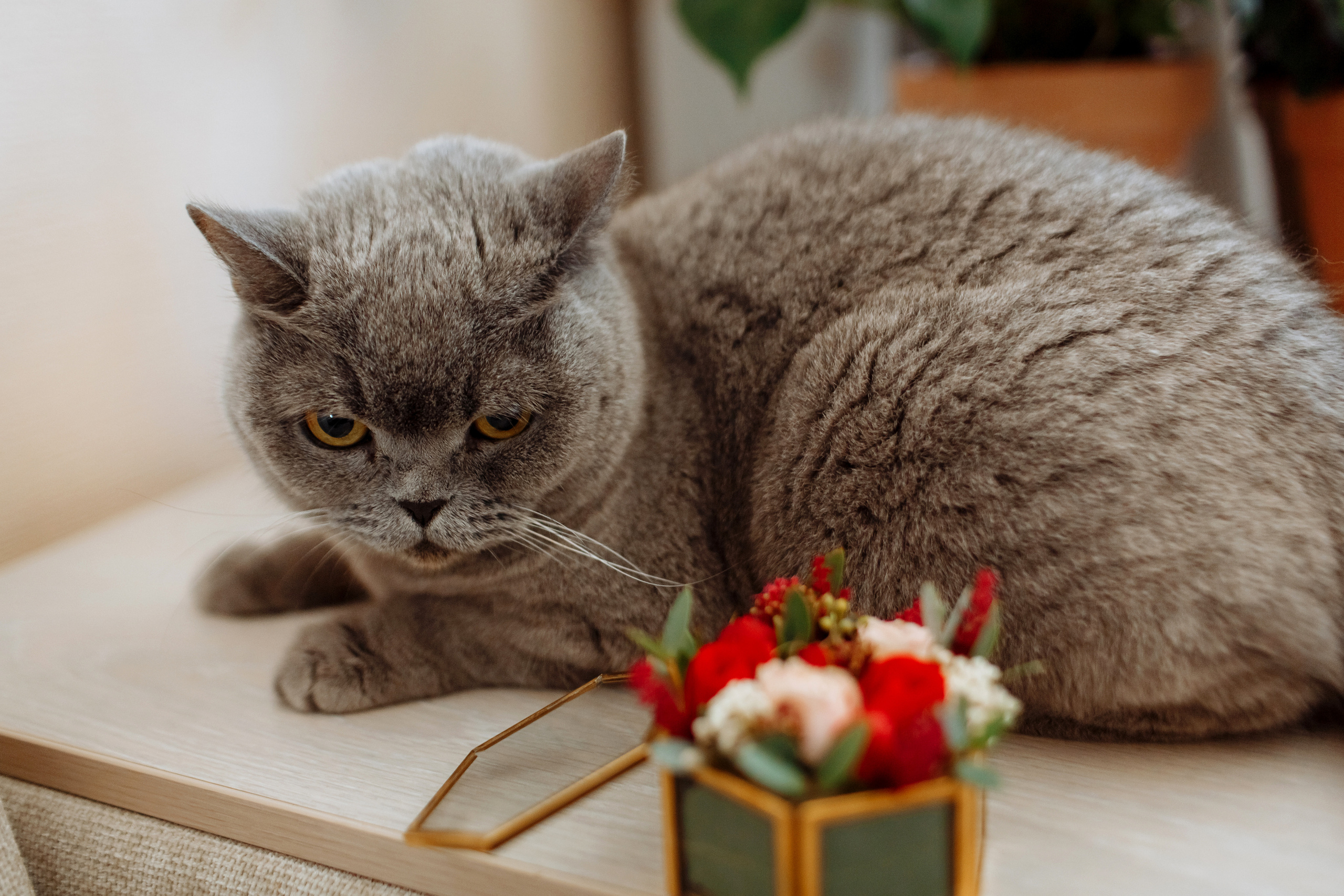 Олеся и Петя. Свадебный фотограф в Санкт-Петербурге