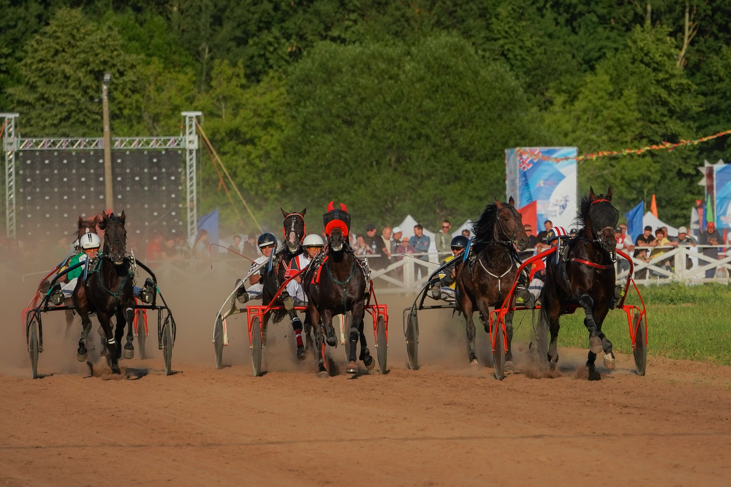 III конные бега на Кубок Главы Чувашии. Фотограф-анималист, портретный фотограф в Чебоксарах Мария Садыкова