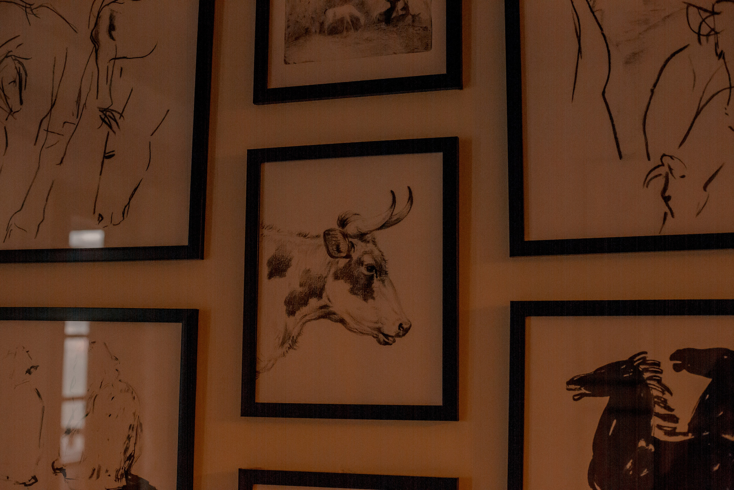 Turkey, Rize. Art Photographer