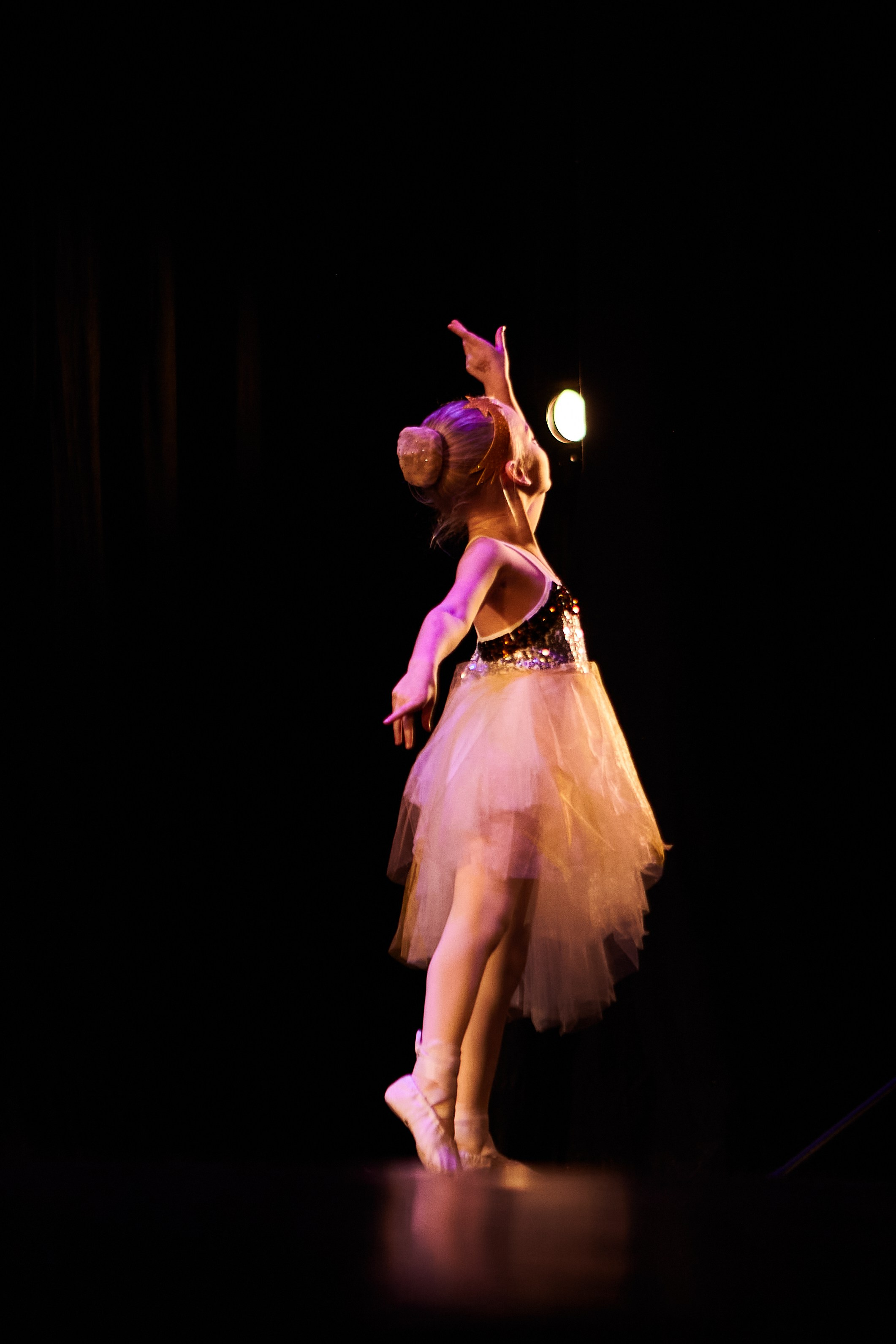 Концерты. Виолетта Скрипка