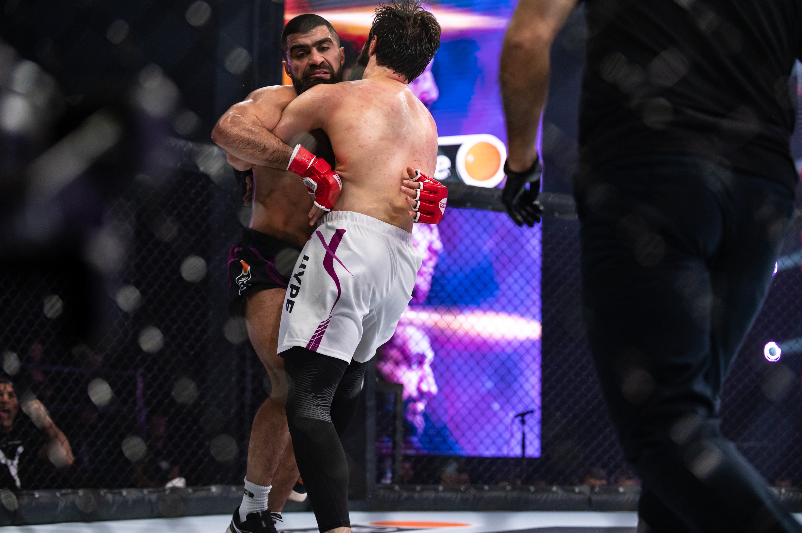 Бои. Репортажный фотограф в Красной Поляне и Сочи Павлюченко Екатерина