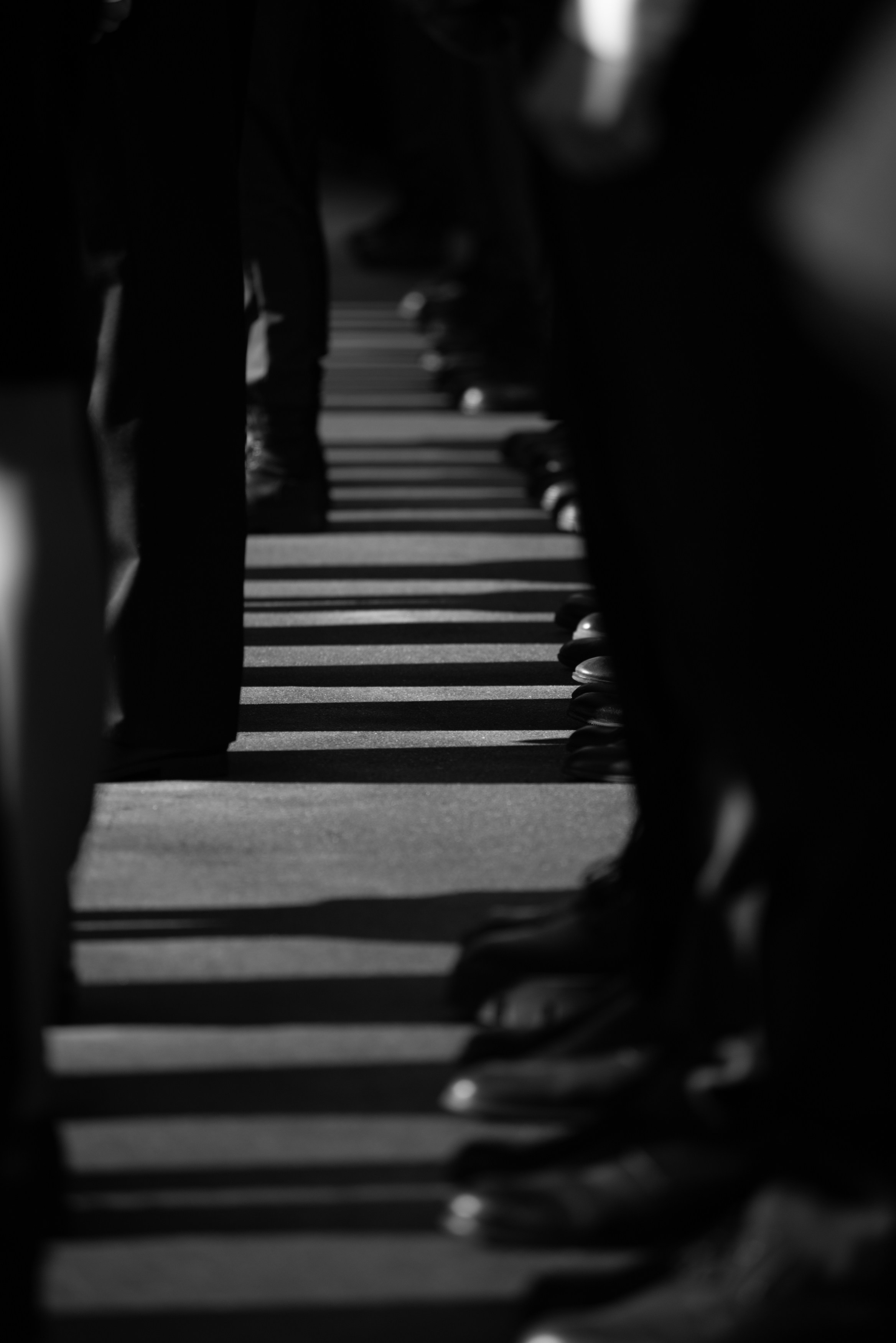 Присяга Академии МЧС на ВДНХ. Фотограф в Москве — Георгий Чернышов