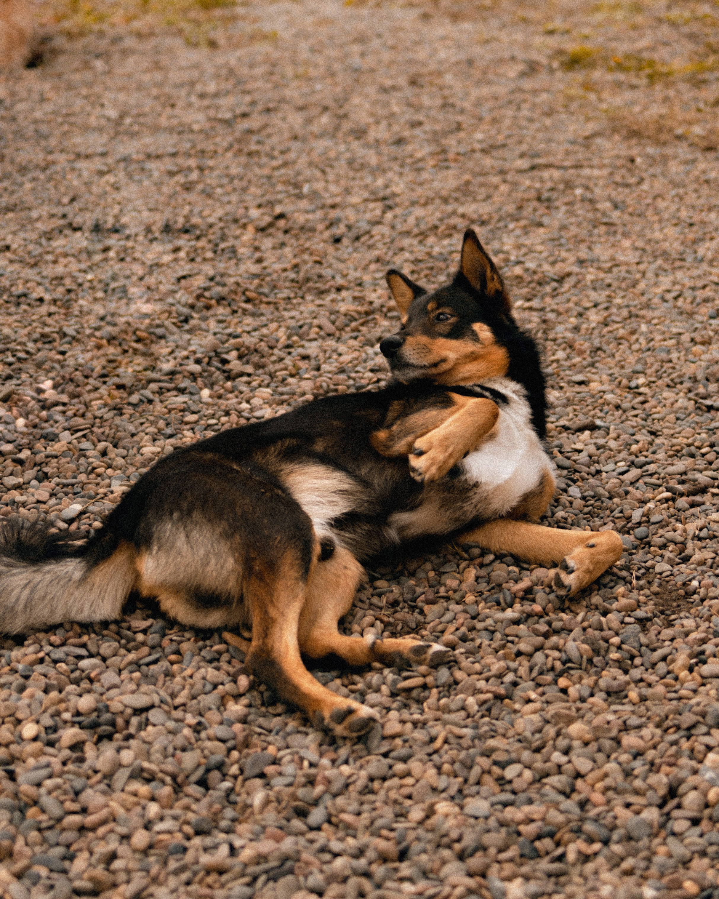 Софья. Фотограф в Красноярске Ксения Дмитрик