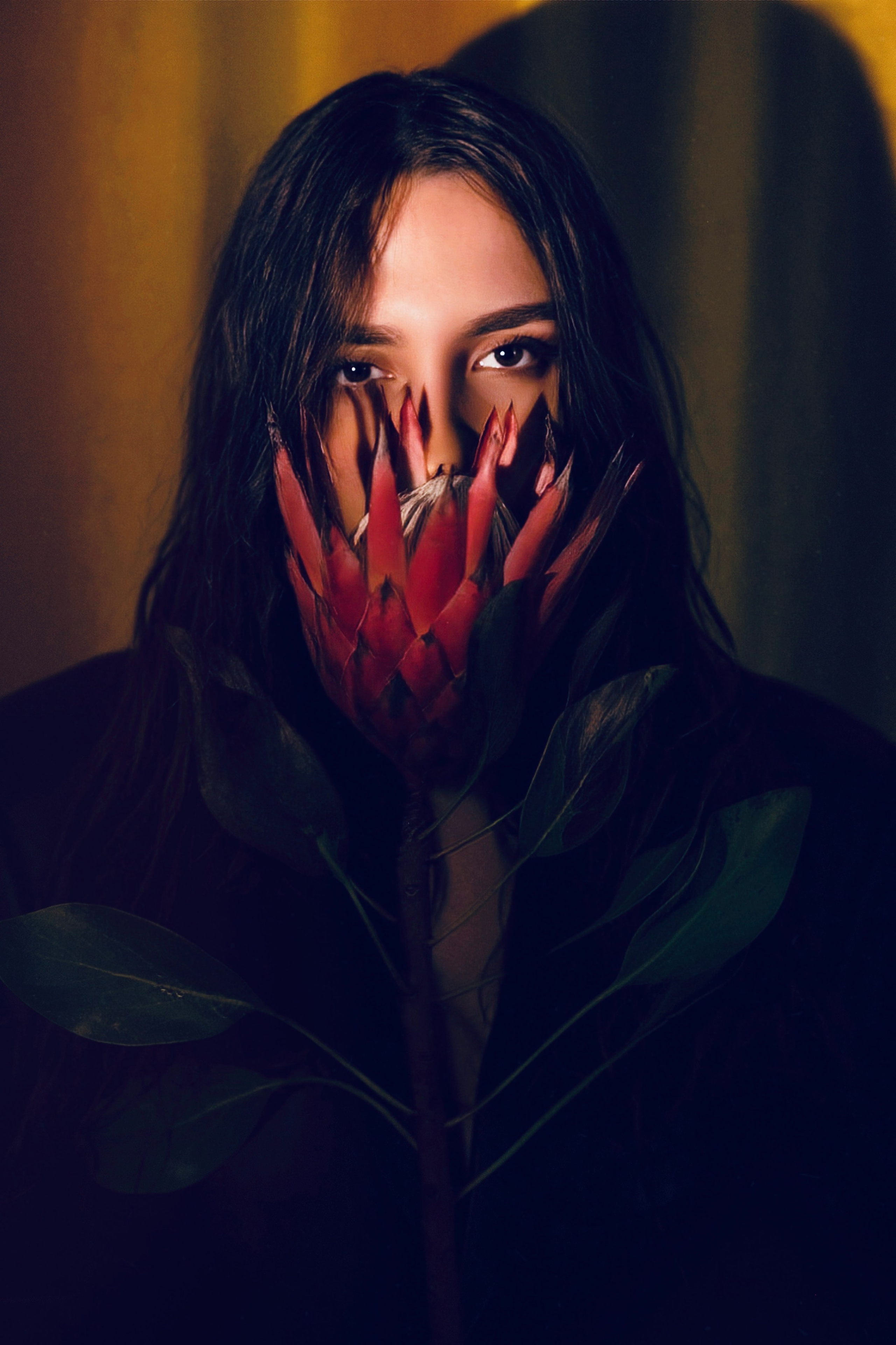 Look Book. Елизавета Медведева