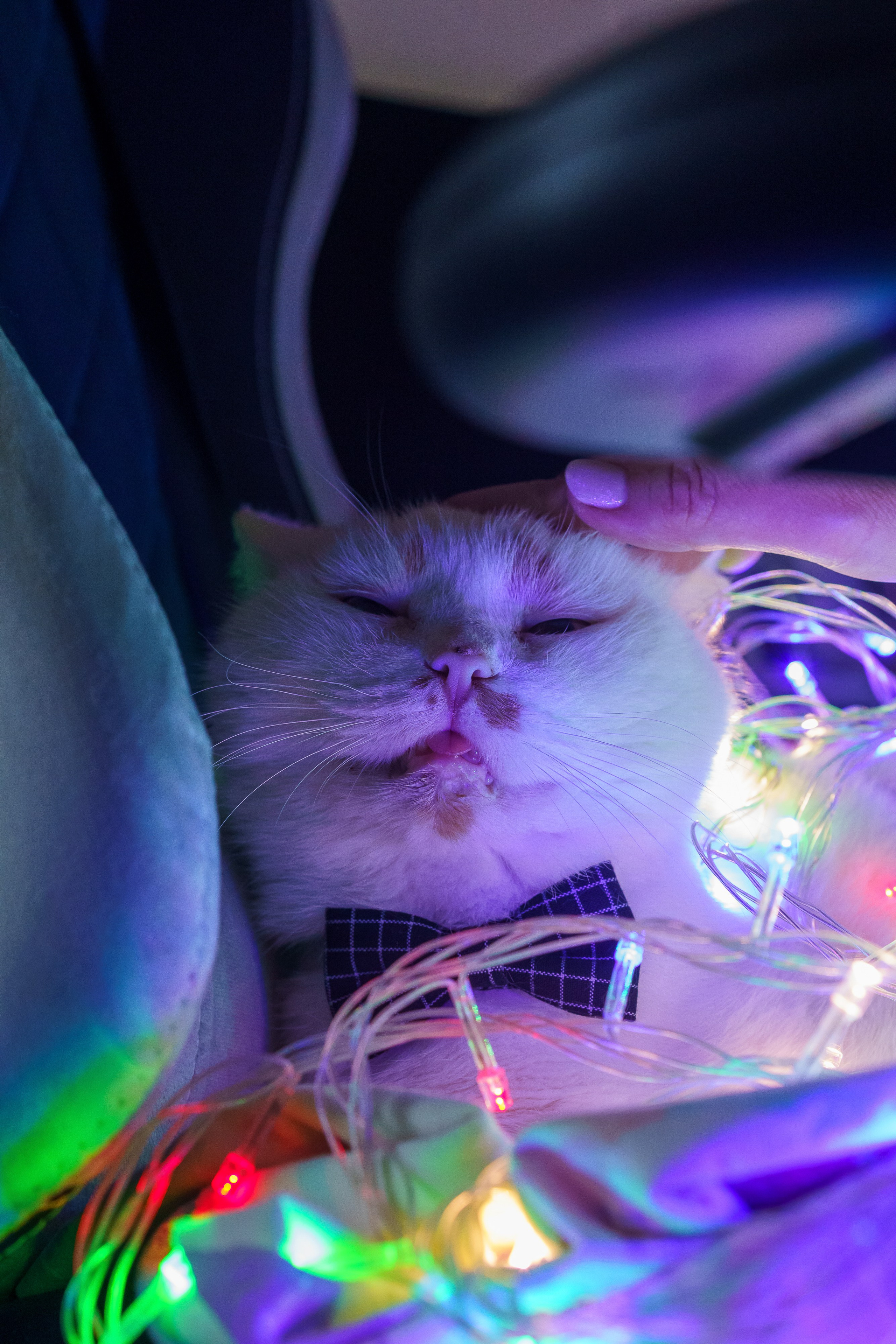 Праздник к нам пришёл!. Фотограф Челябинск · Ольга Серебрякова