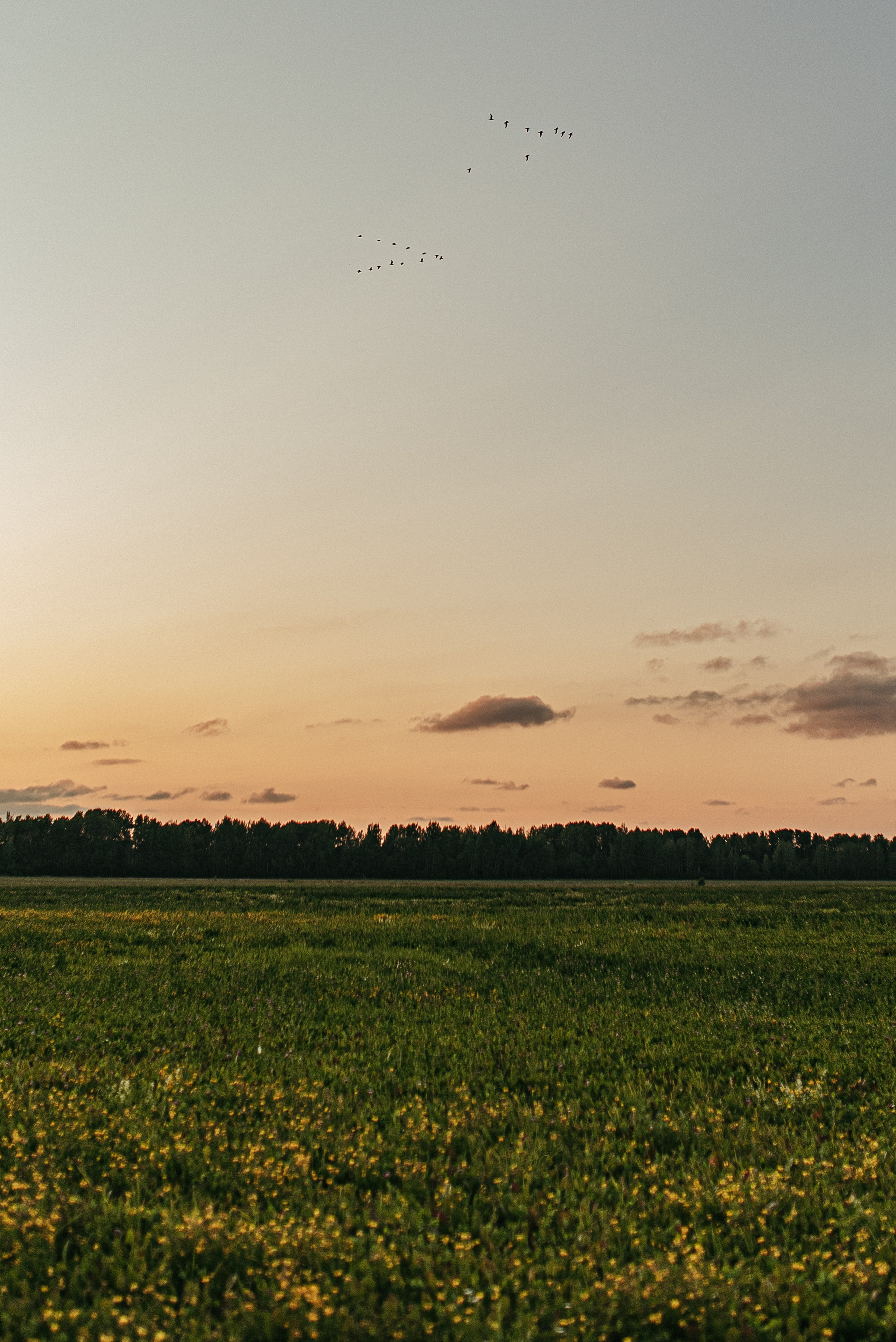 Fam. Семейный фотограф СПб