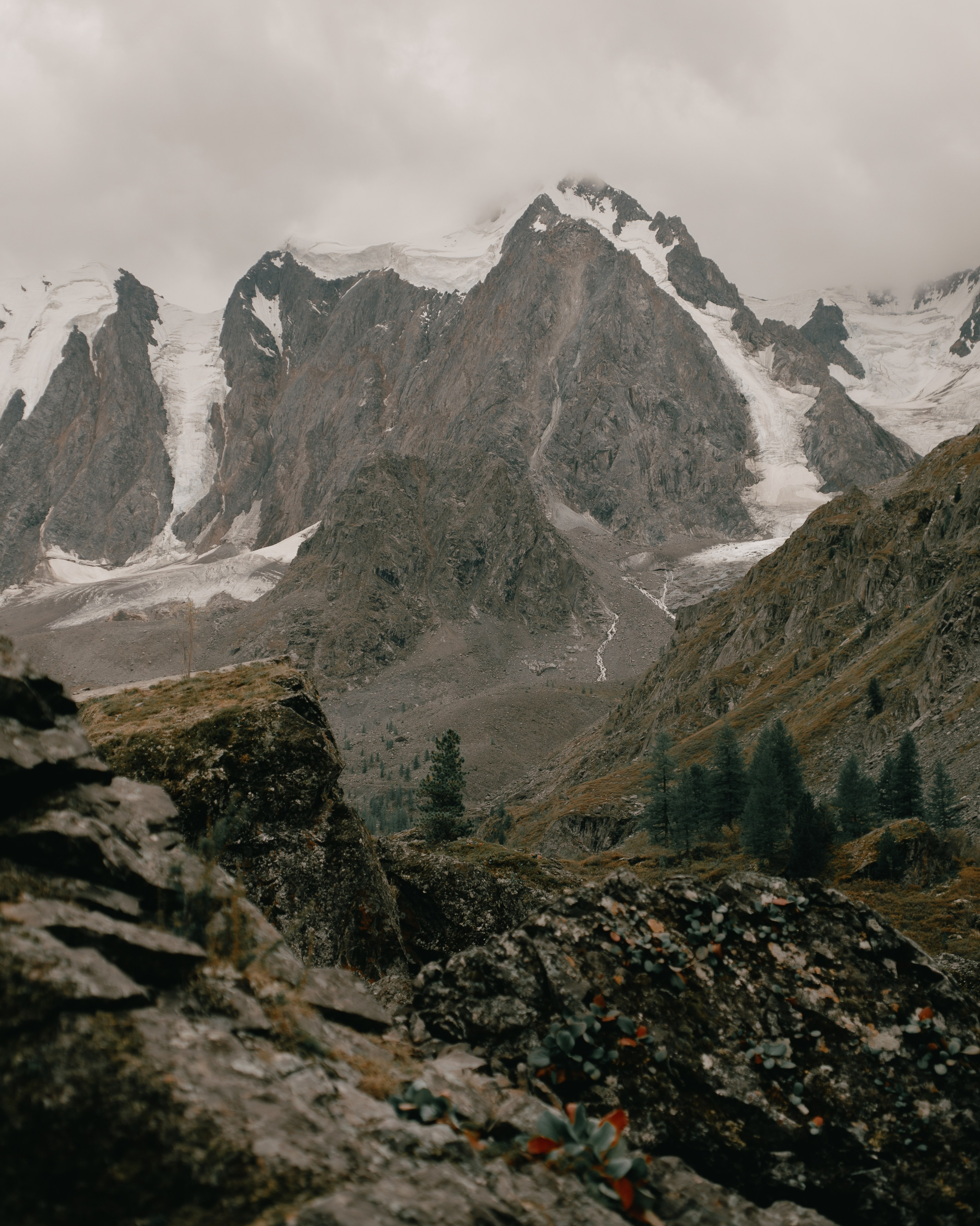 Шавлинские. Главная