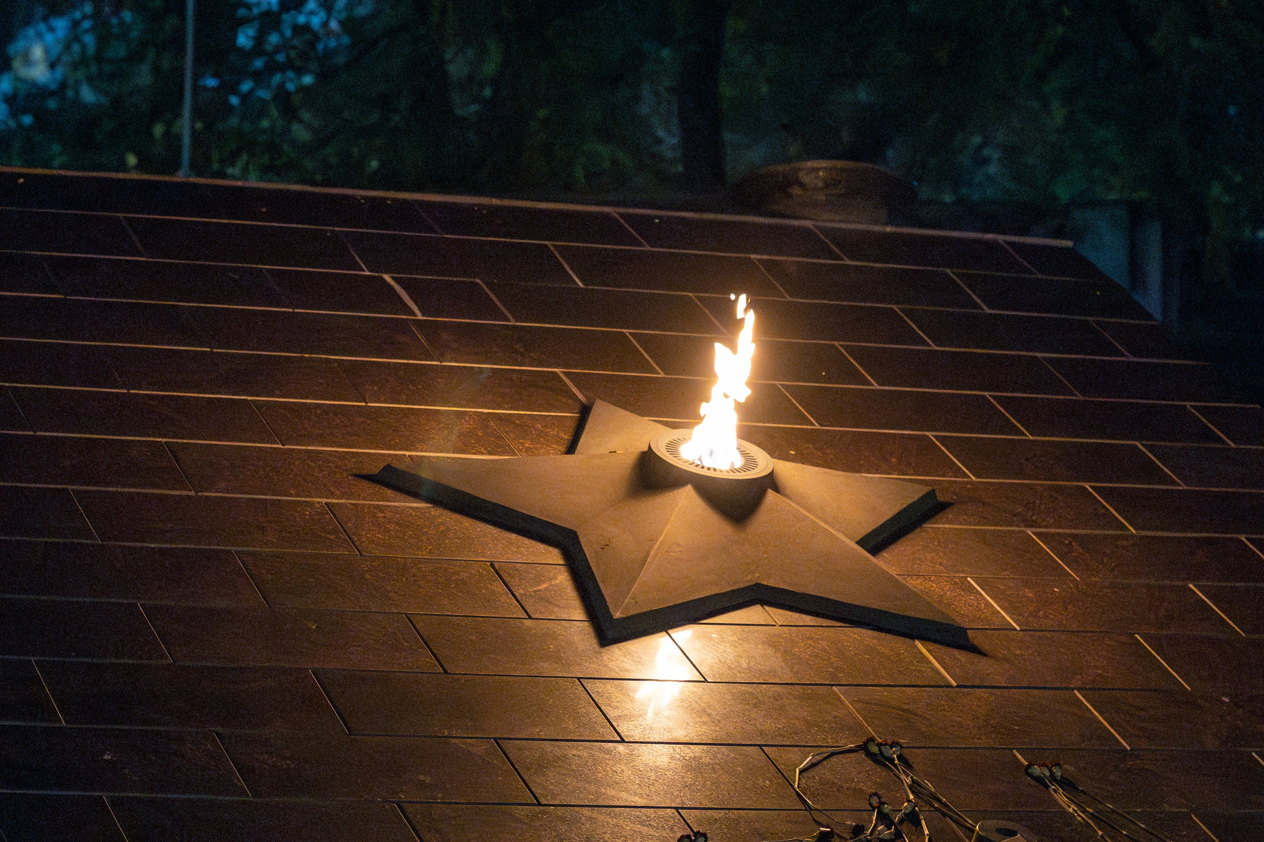 Всероссийский конкурс Проводники смыслов. Репортажный и портретный фотограф в Владивостоке