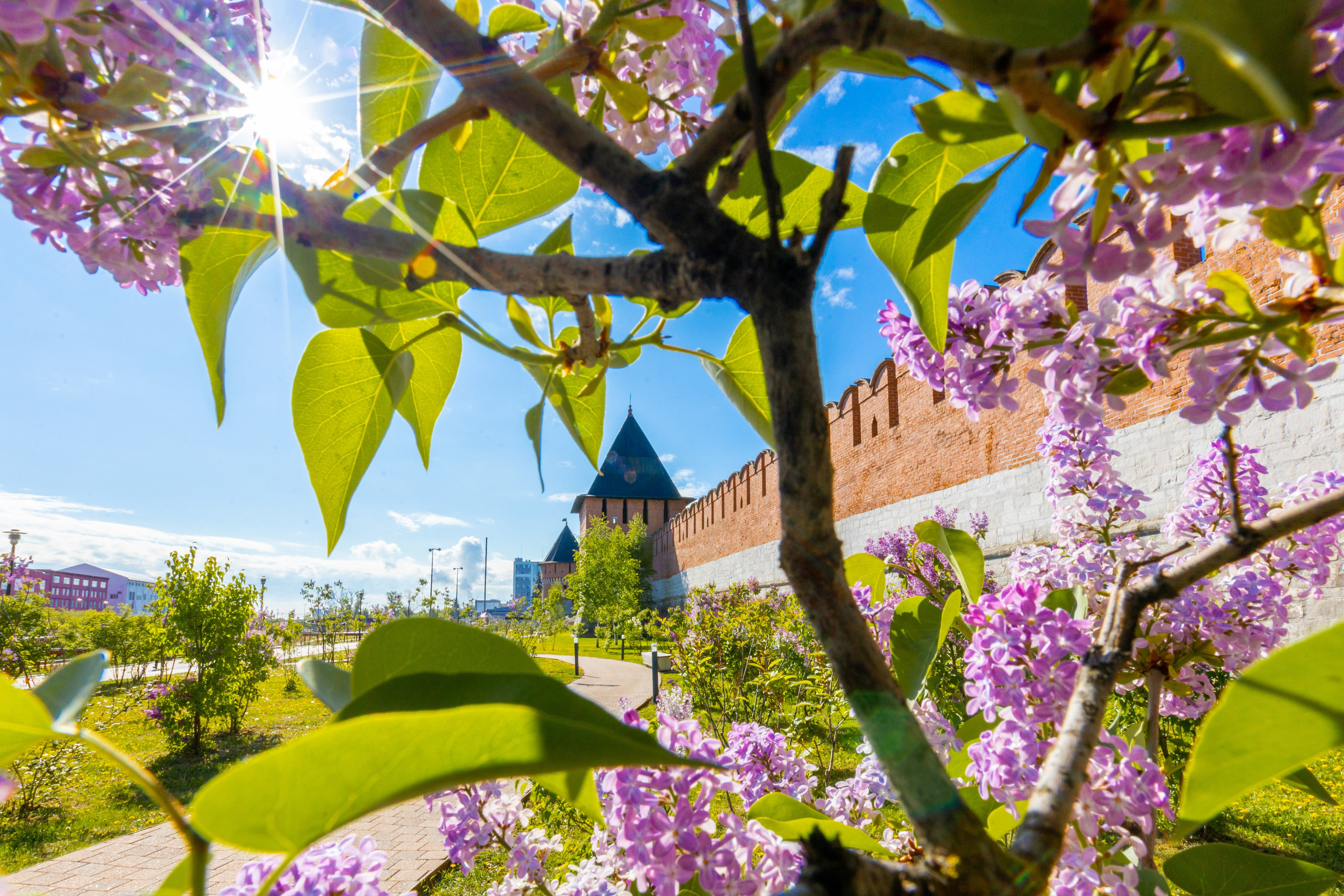 Весеннее цветение в Туле. Фотограф в Туле Крупский АнДРей. Фотостудия «КАДР71» в Туле