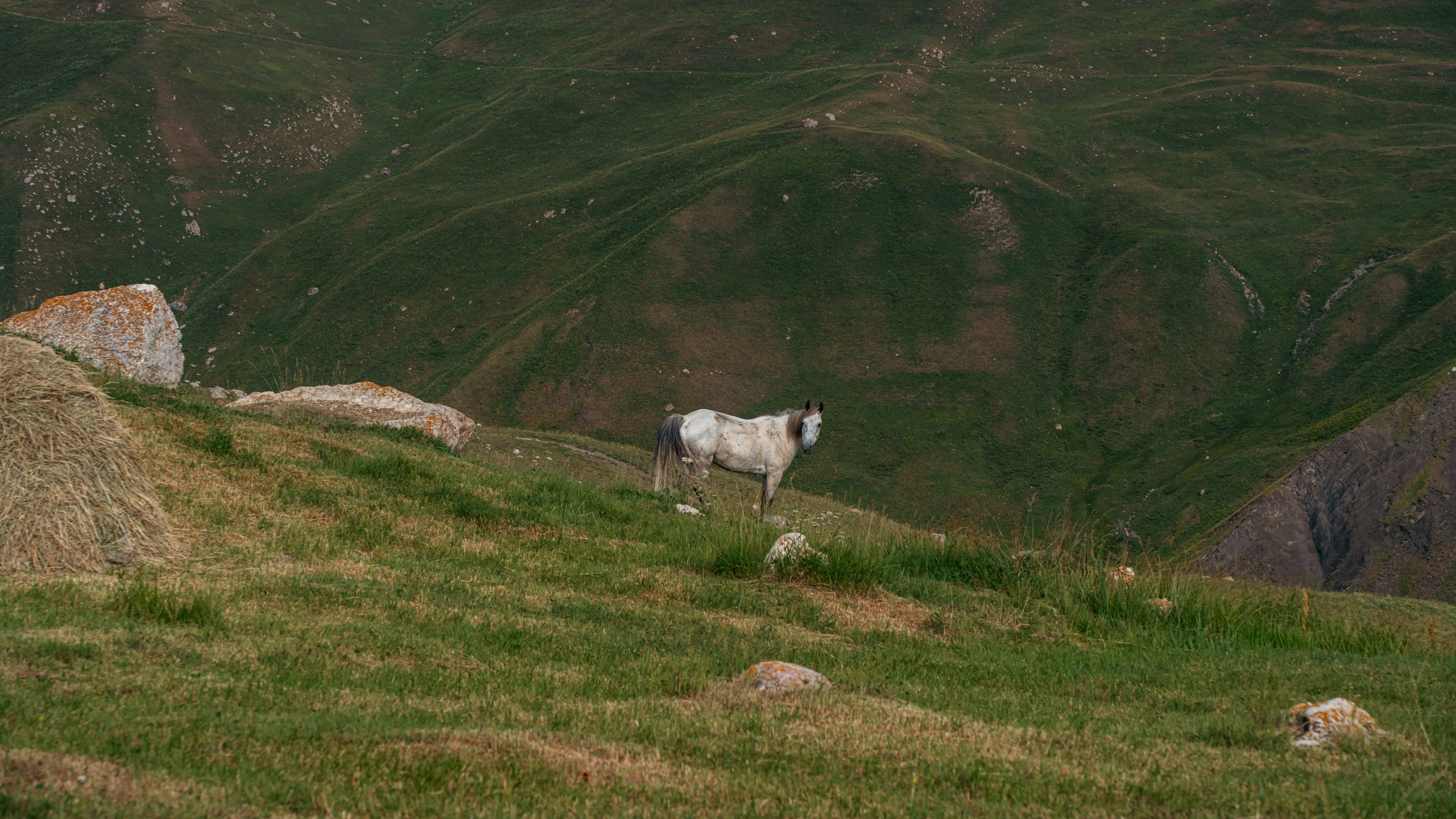 Дагестан. Фотограф в Москве. Шахабудин