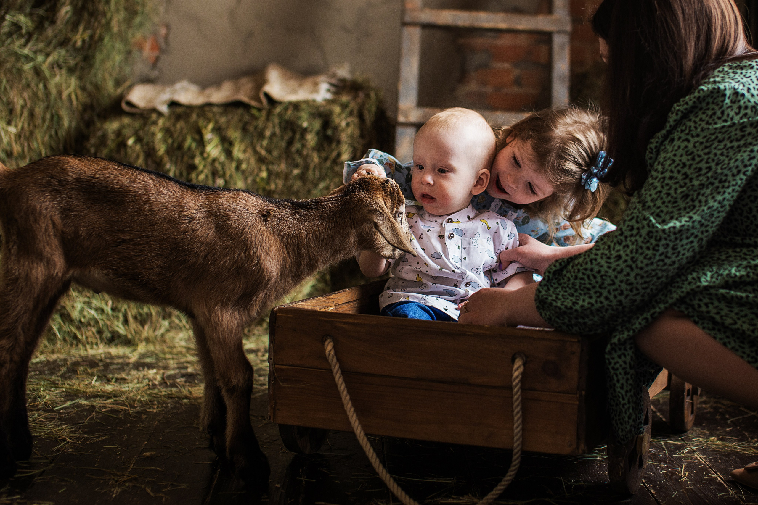 Дети и животные…самый милый альбом. Семейный фотограф в Саратове