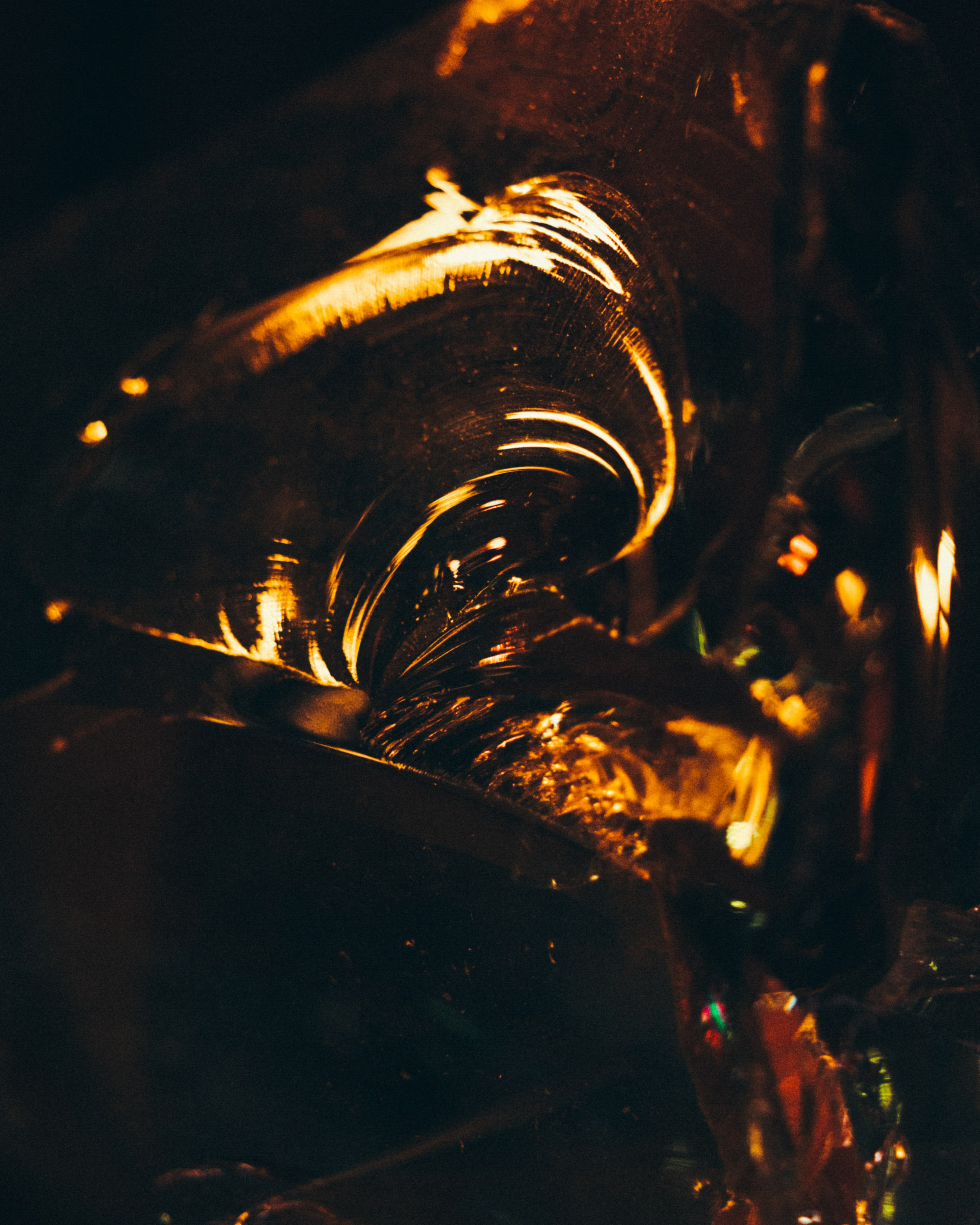 WASAFE 2025 by @alexandradmitrievaph. Свадебный фотограф @alexandradmitrievaph