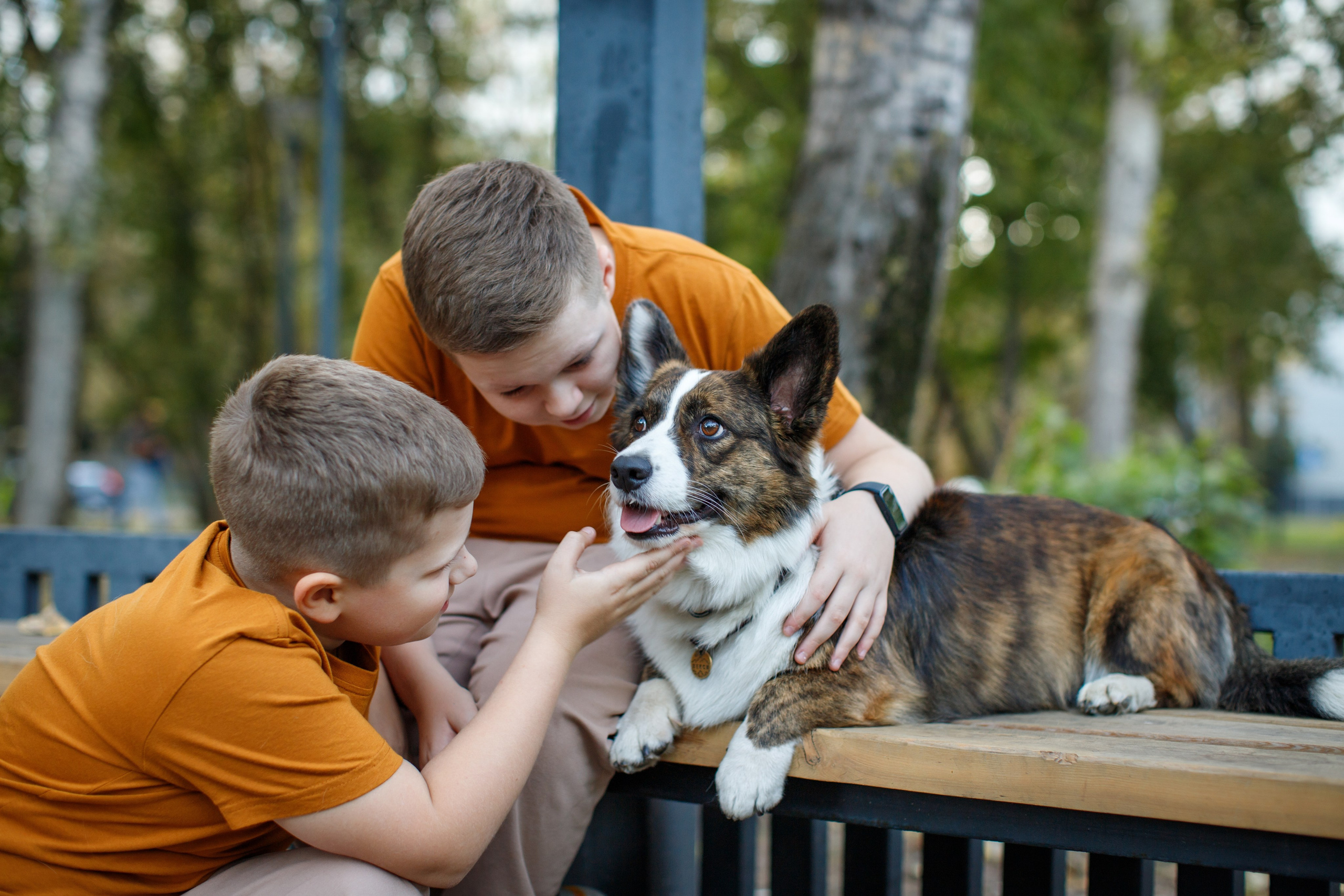 На пикнике. Детский и семейный фотограф Мария Киселёва. Москва