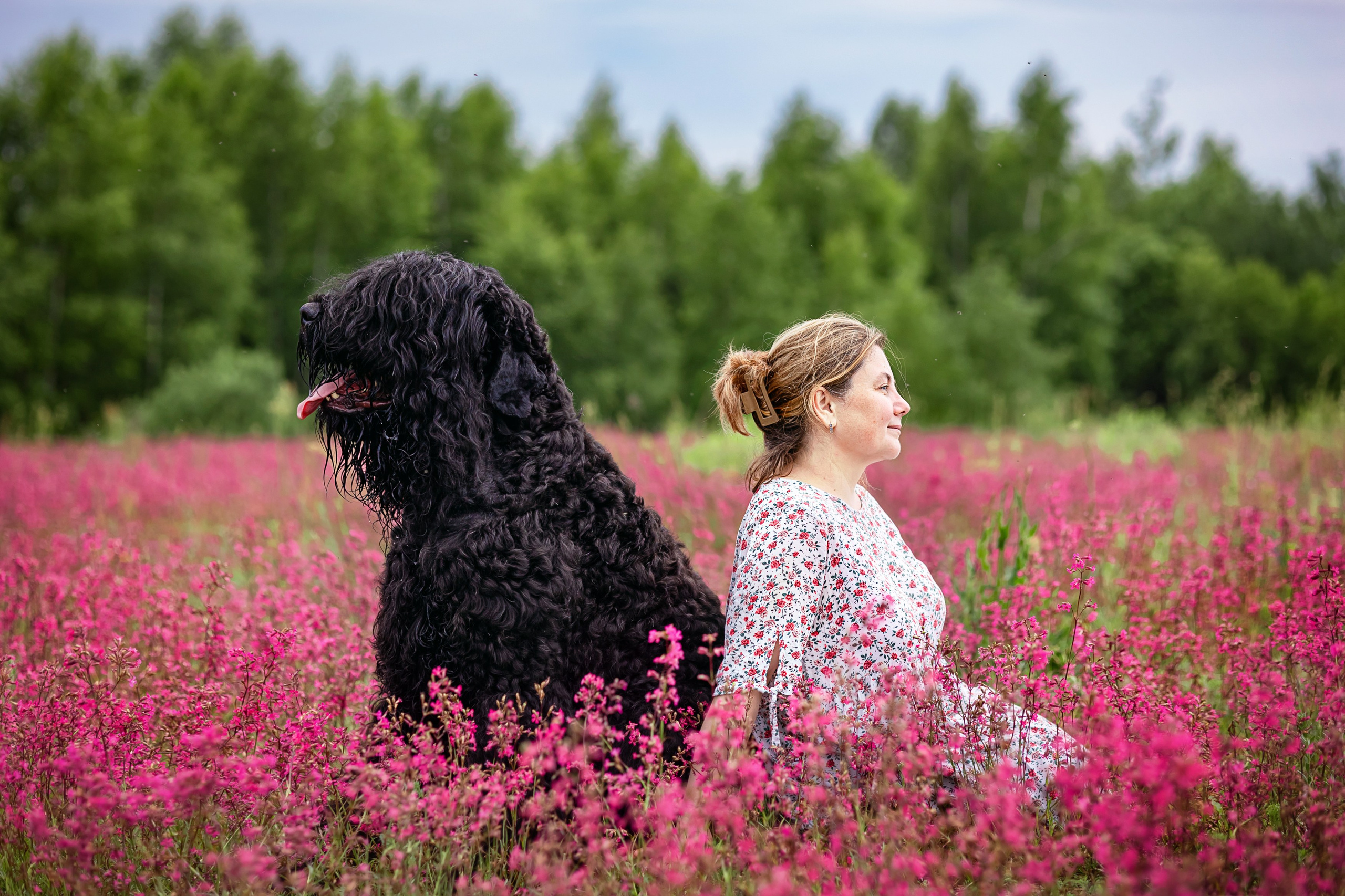 Смолка клейкая. Фотограф анималист Аня Ливанова | Рыбинск