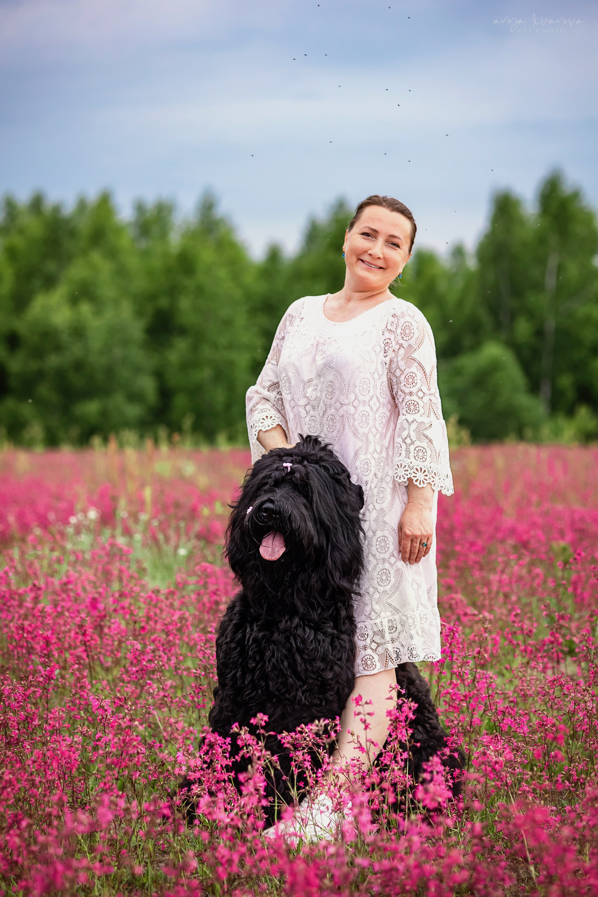 Смолка клейкая. Фотограф анималист Аня Ливанова | Рыбинск