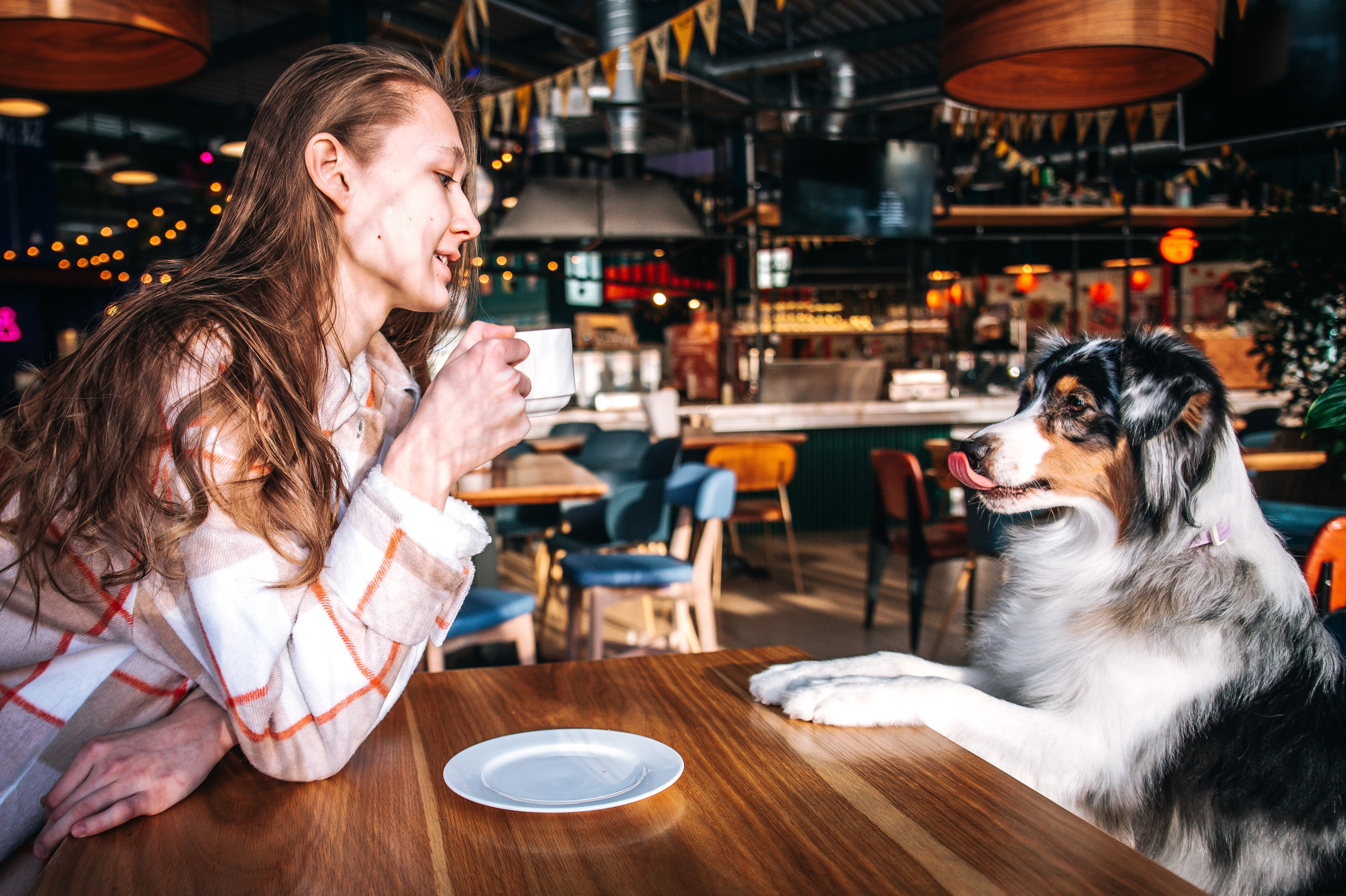 Лиза и Харли в кафе. Главная