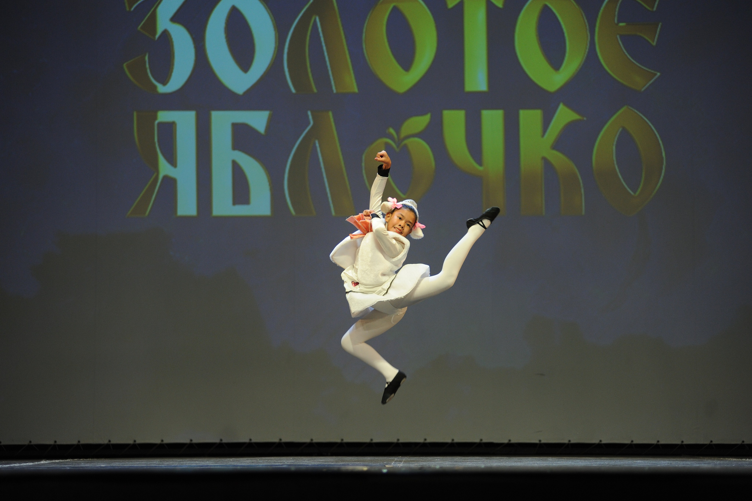 16 ноября, г. Красноярск. Золотое яблочко