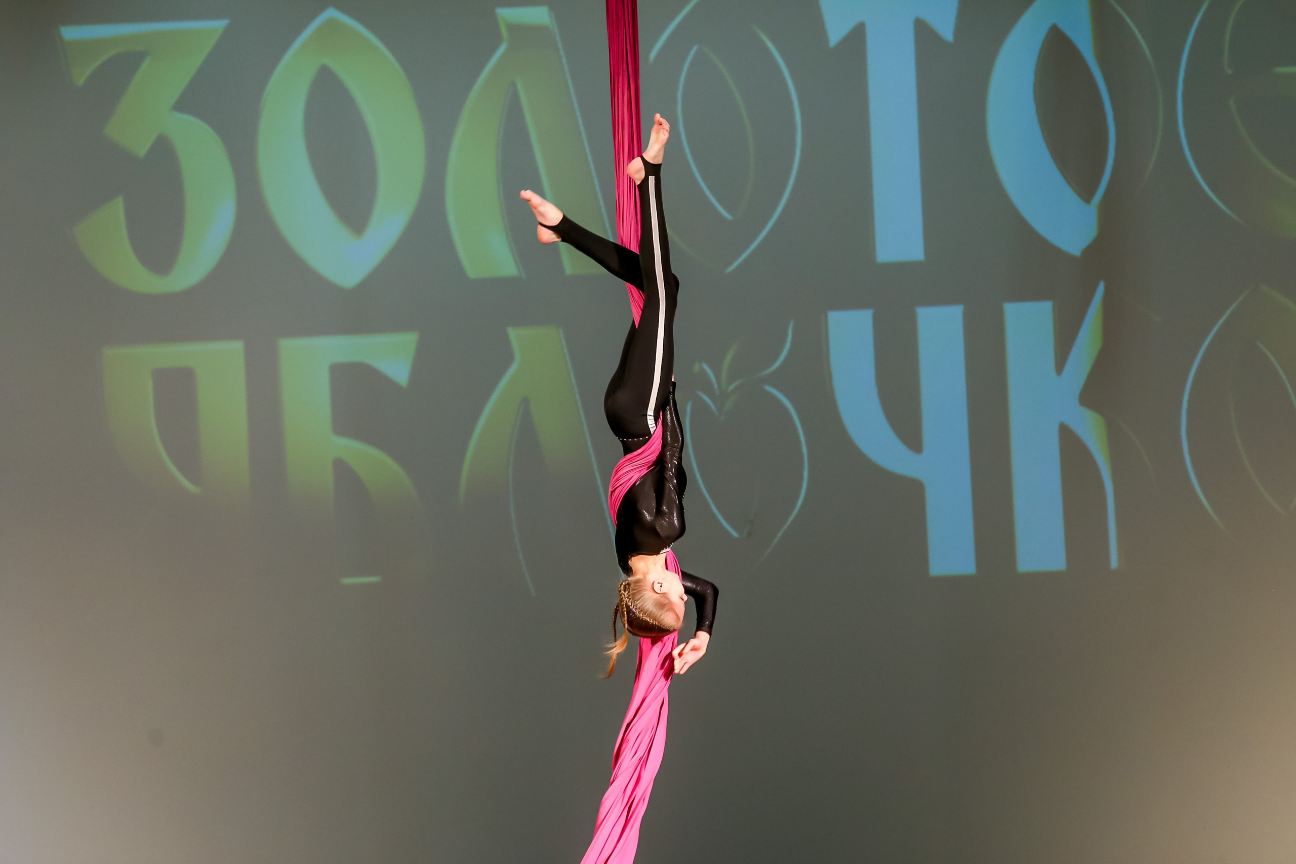 2 марта, г. Владимир. Золотое яблочко