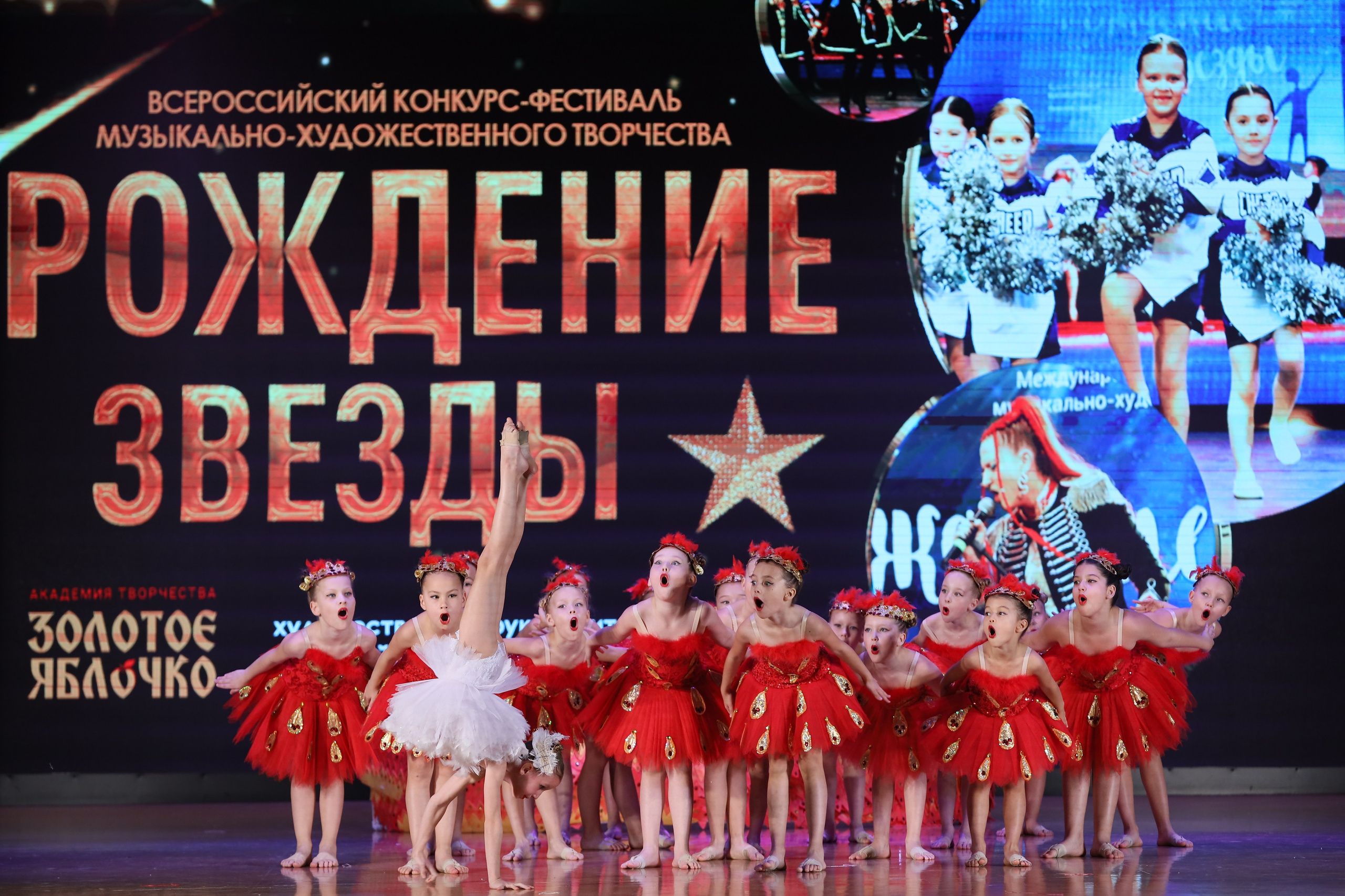 4 ноября, блок 1, видео, номера 14-29, г. Краснодар. Золотое яблочко