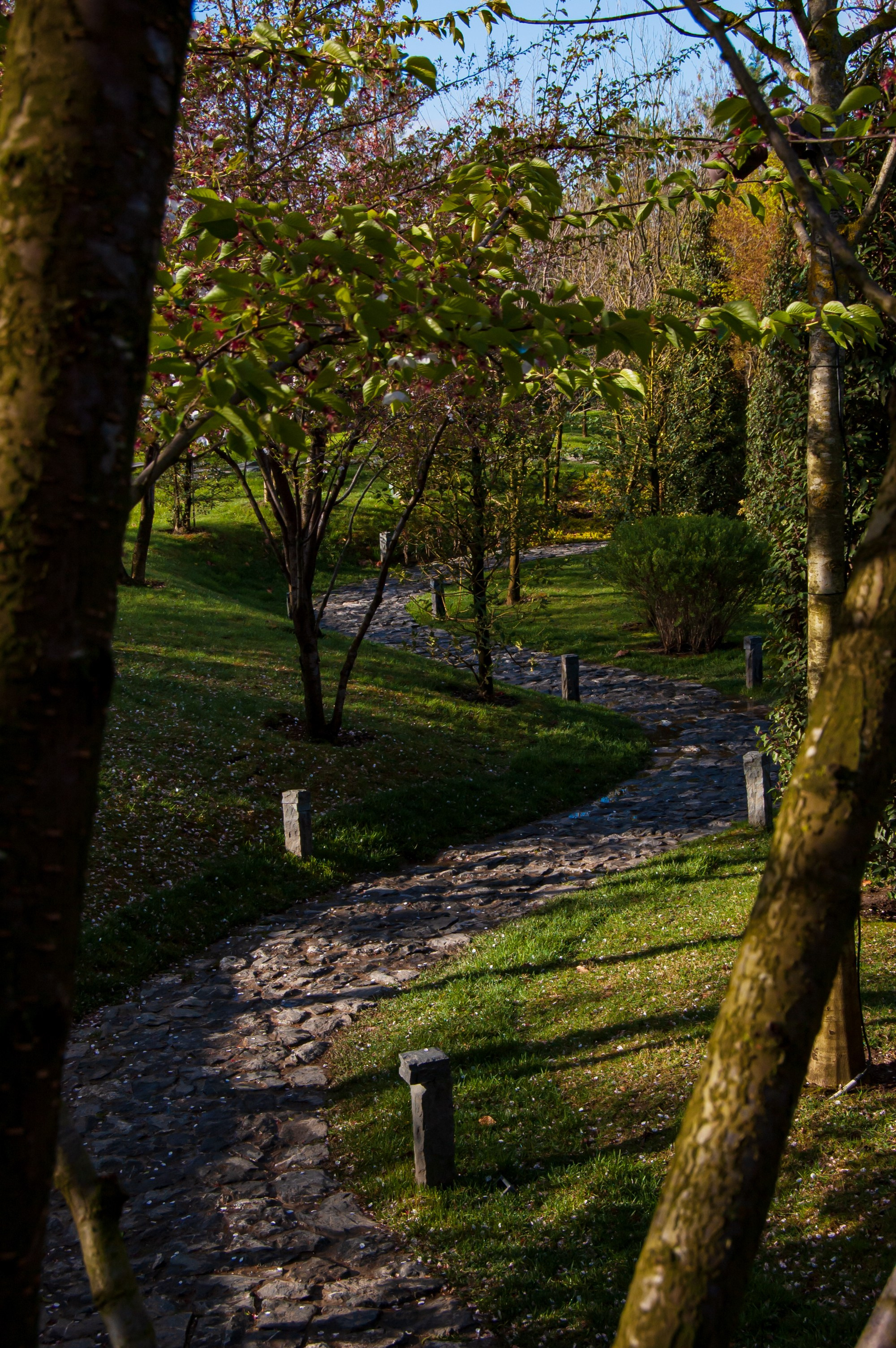 Фотосессия в Краснодаре. Портретный фотограф в Краснодаре Слава Никитин