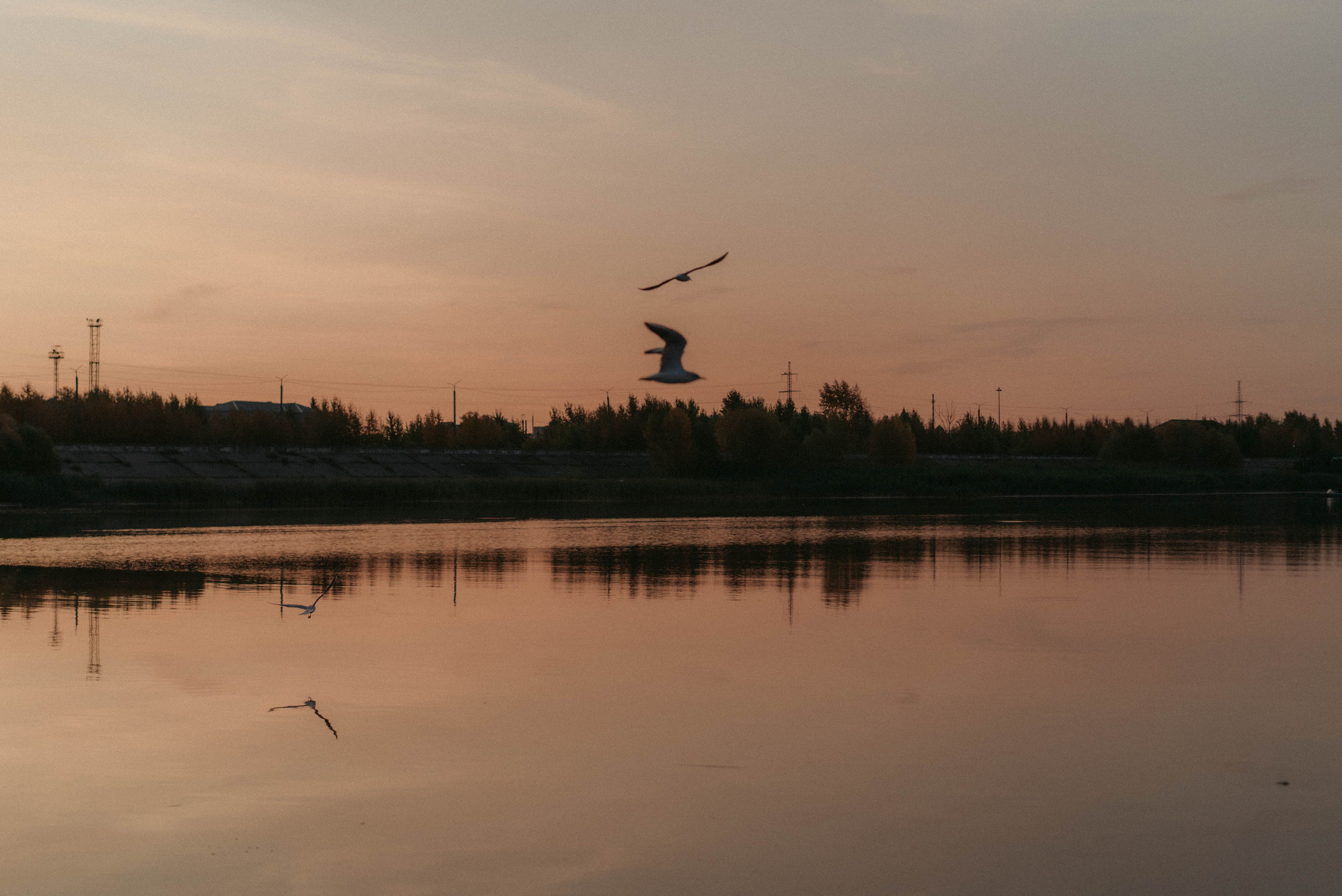 Рассвет перед бурей. Olgamashh