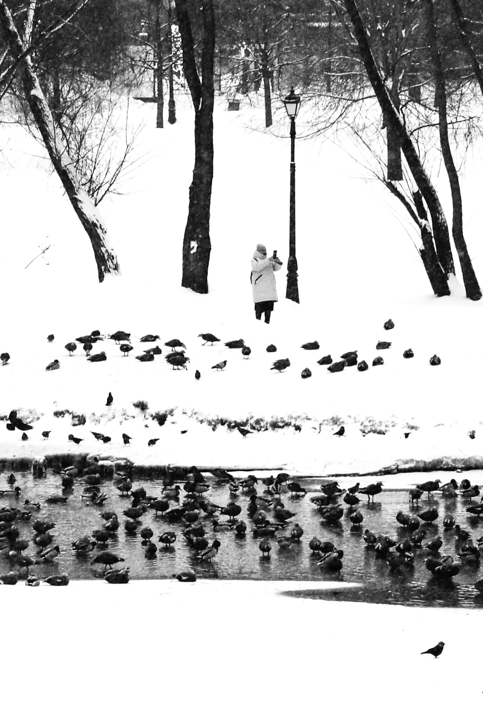 Чёрно-белая зима 25-26. Фотосессии и репортаж — Фотограф в Москве — Рина Серёгина