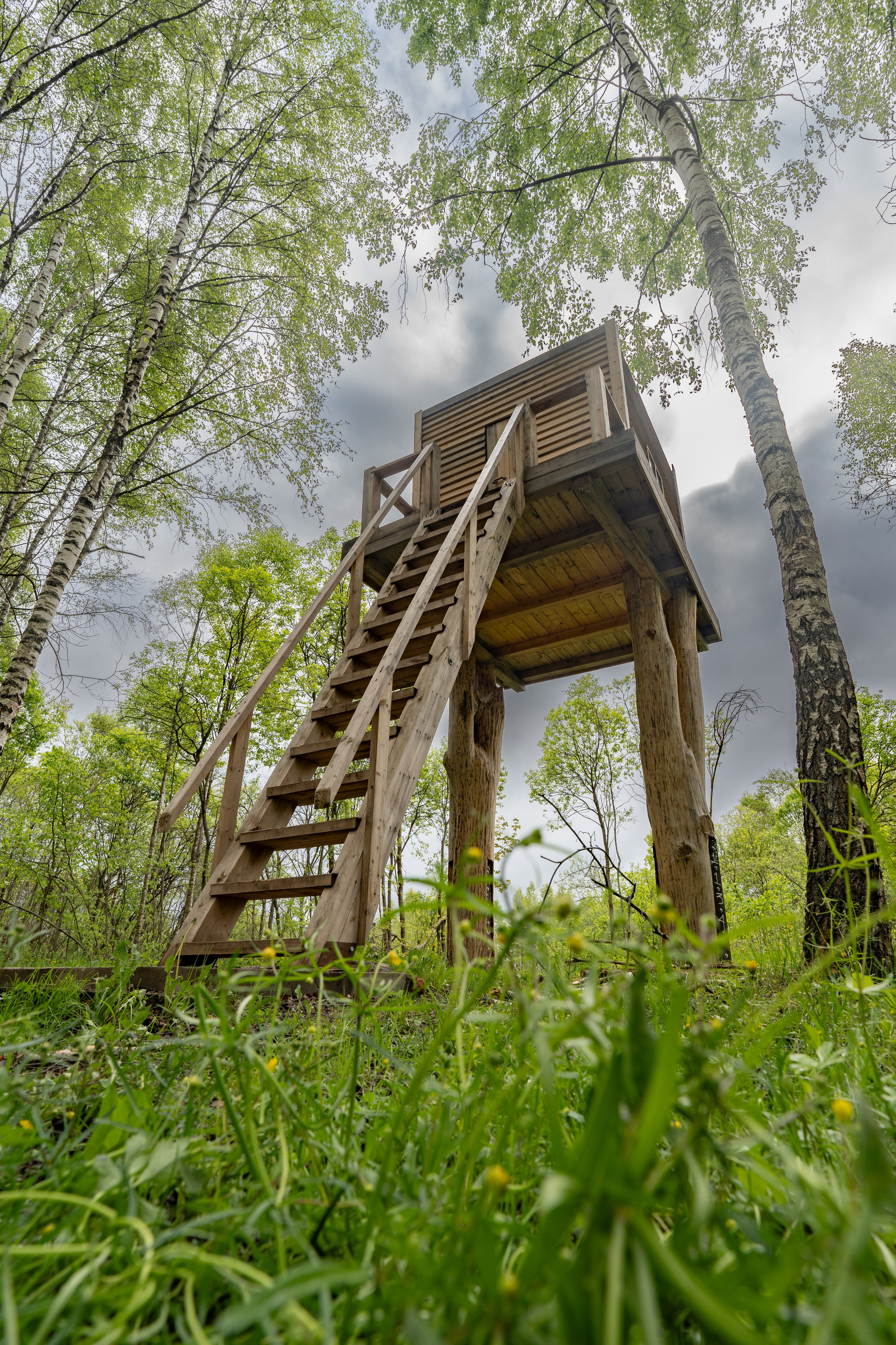 Арт-парк Никола-Ленивец. Gusarov Travel Photography