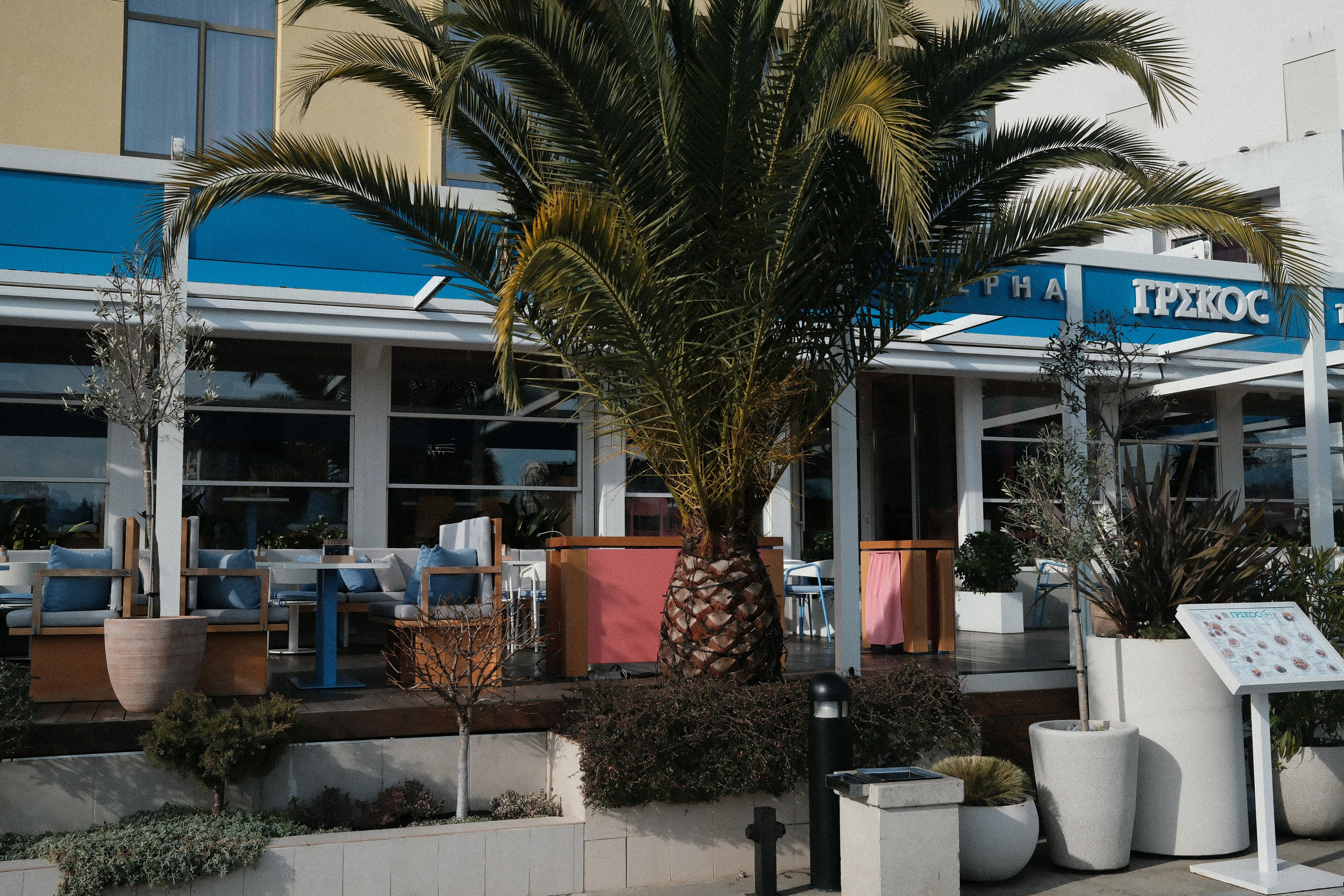 Фотографии зимнего Адлера. Алексей Торопов фотограф