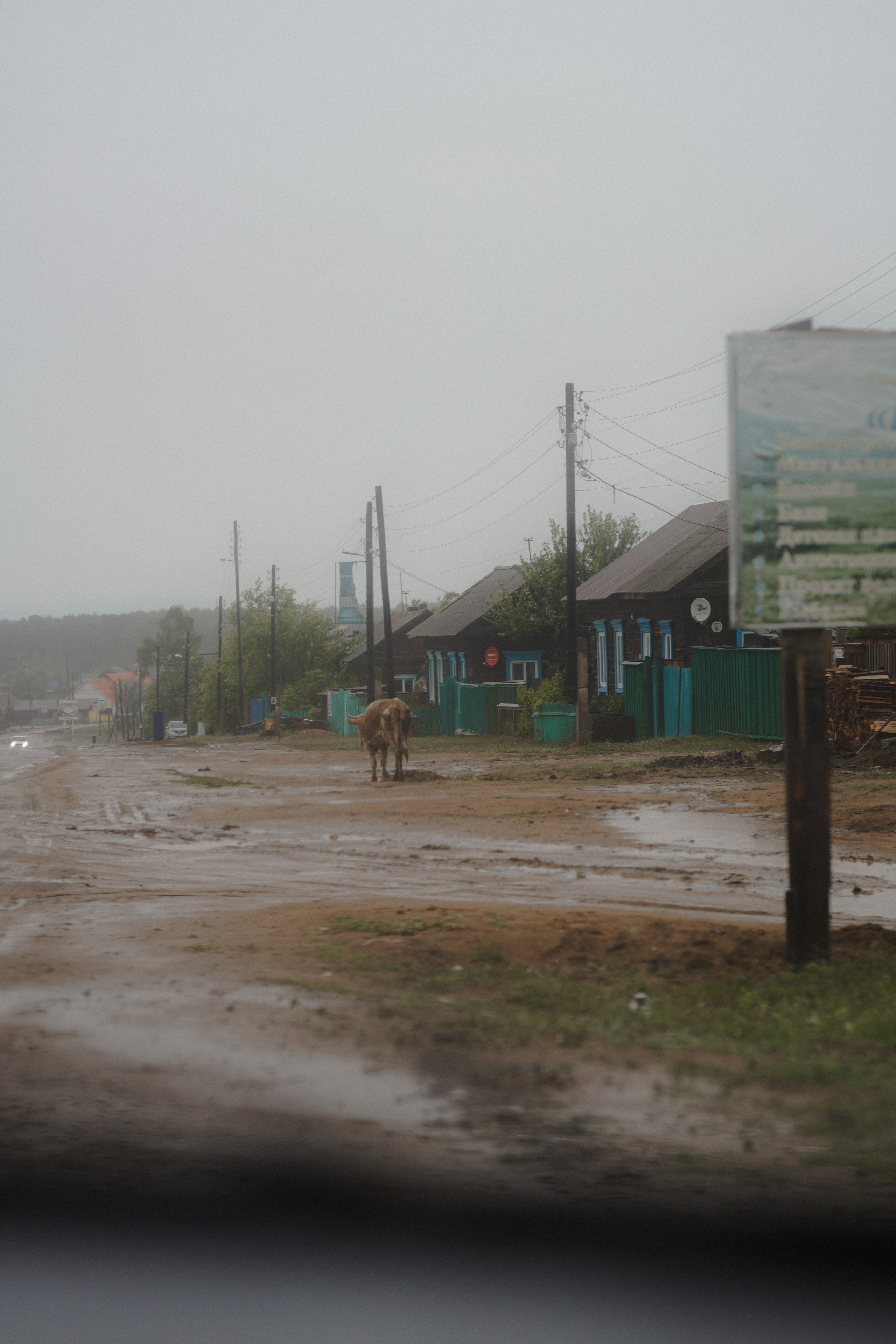 BAIKAL 06|24. Фотограф Виктория Виноградова