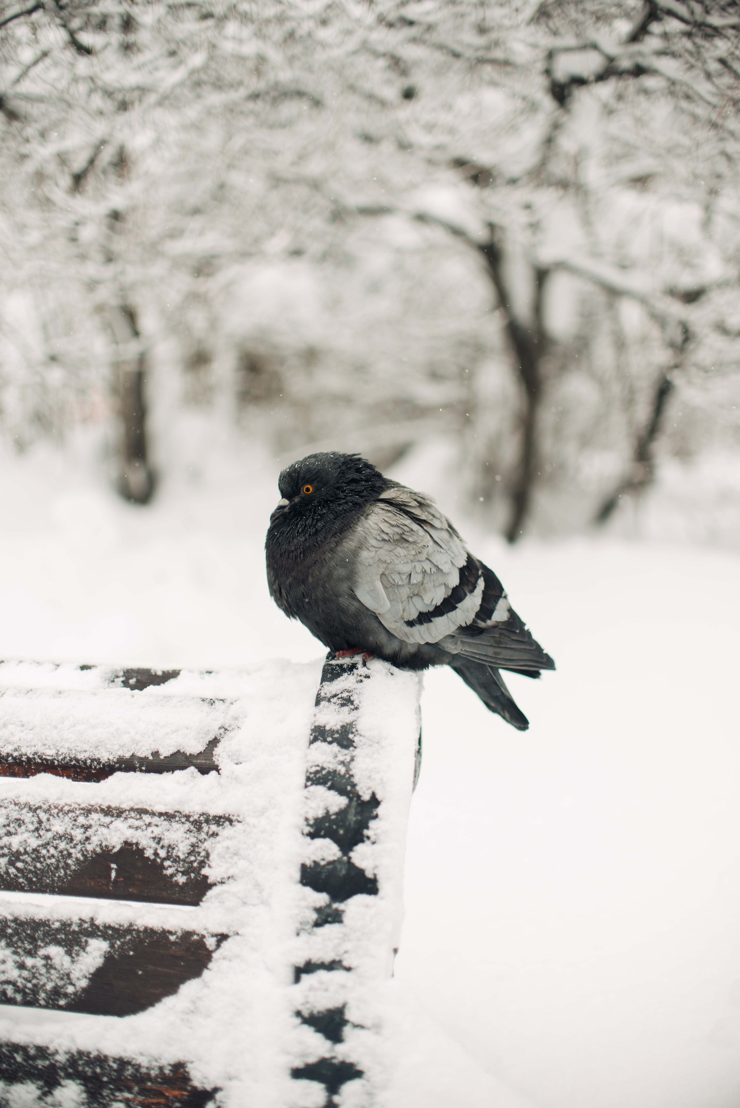 Мурманск, Териберка. Главная