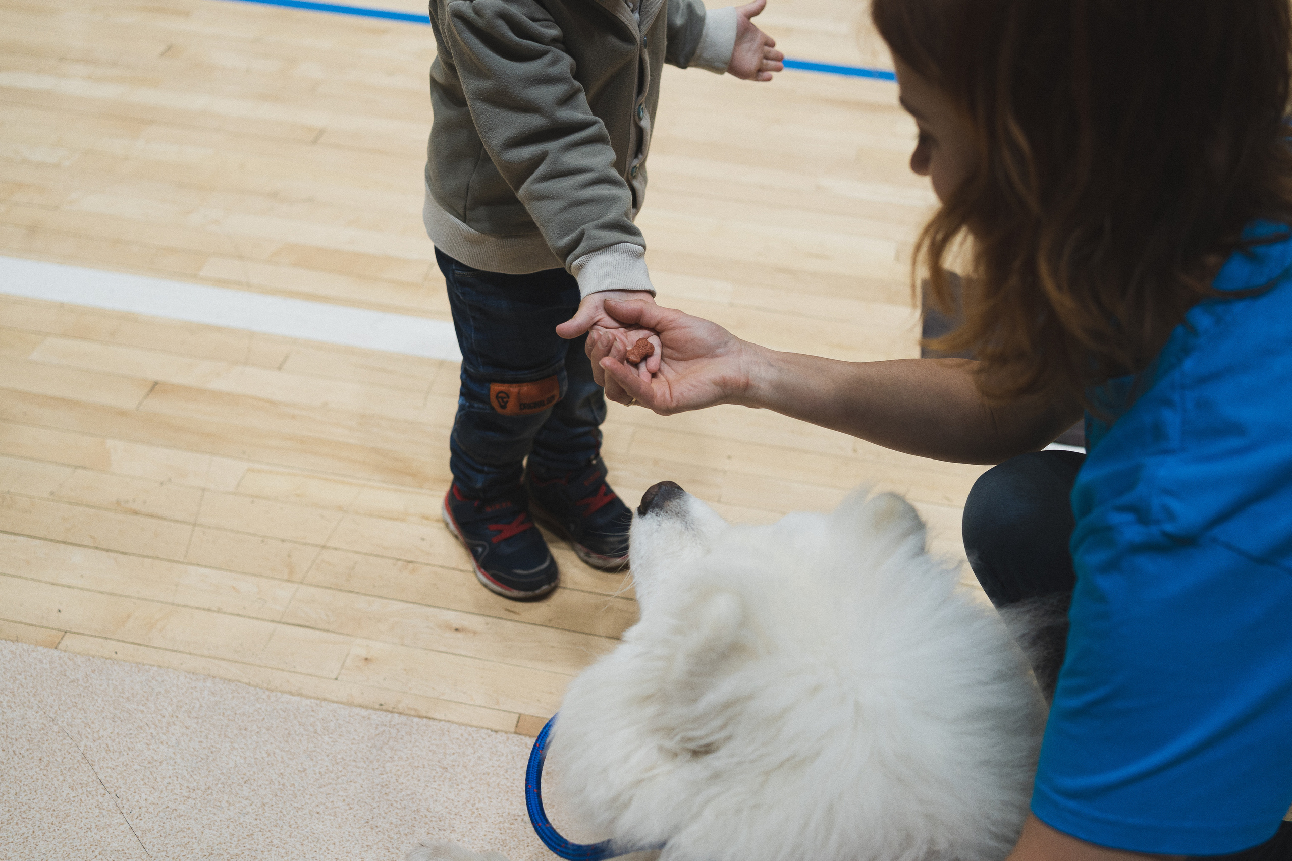 Семейный праздник «Доктор пес & компания» | 2022