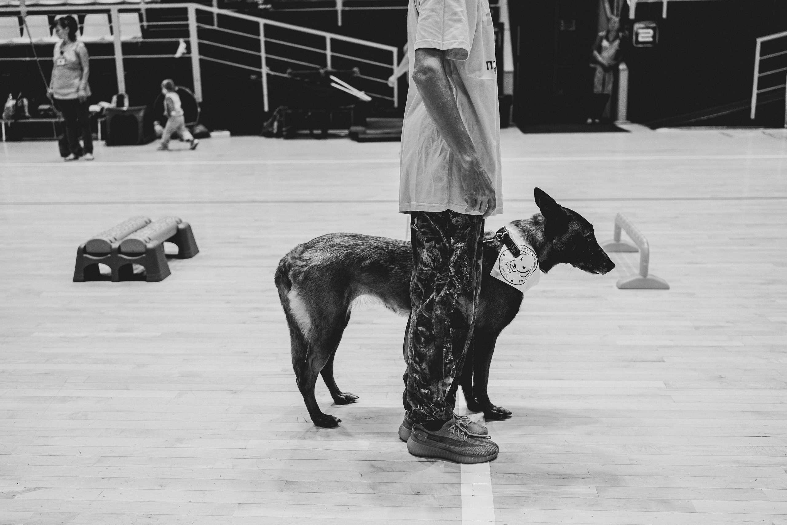 Семейный праздник «Доктор пес & компания» | 2022