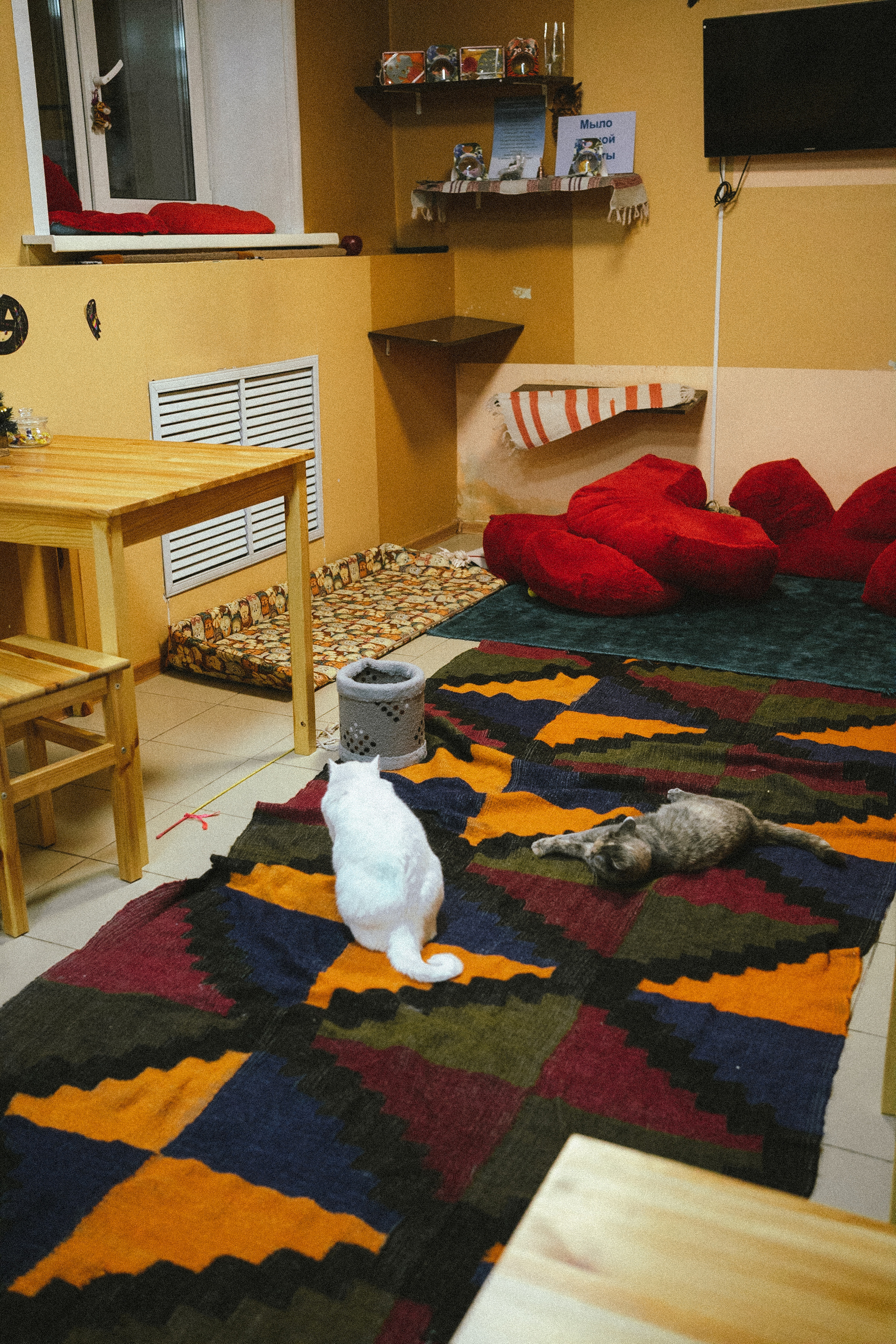 Всероссийская обучающая стажировка АВЦ в Кузбассе | 2022 | Кем-Белово-Новокуз