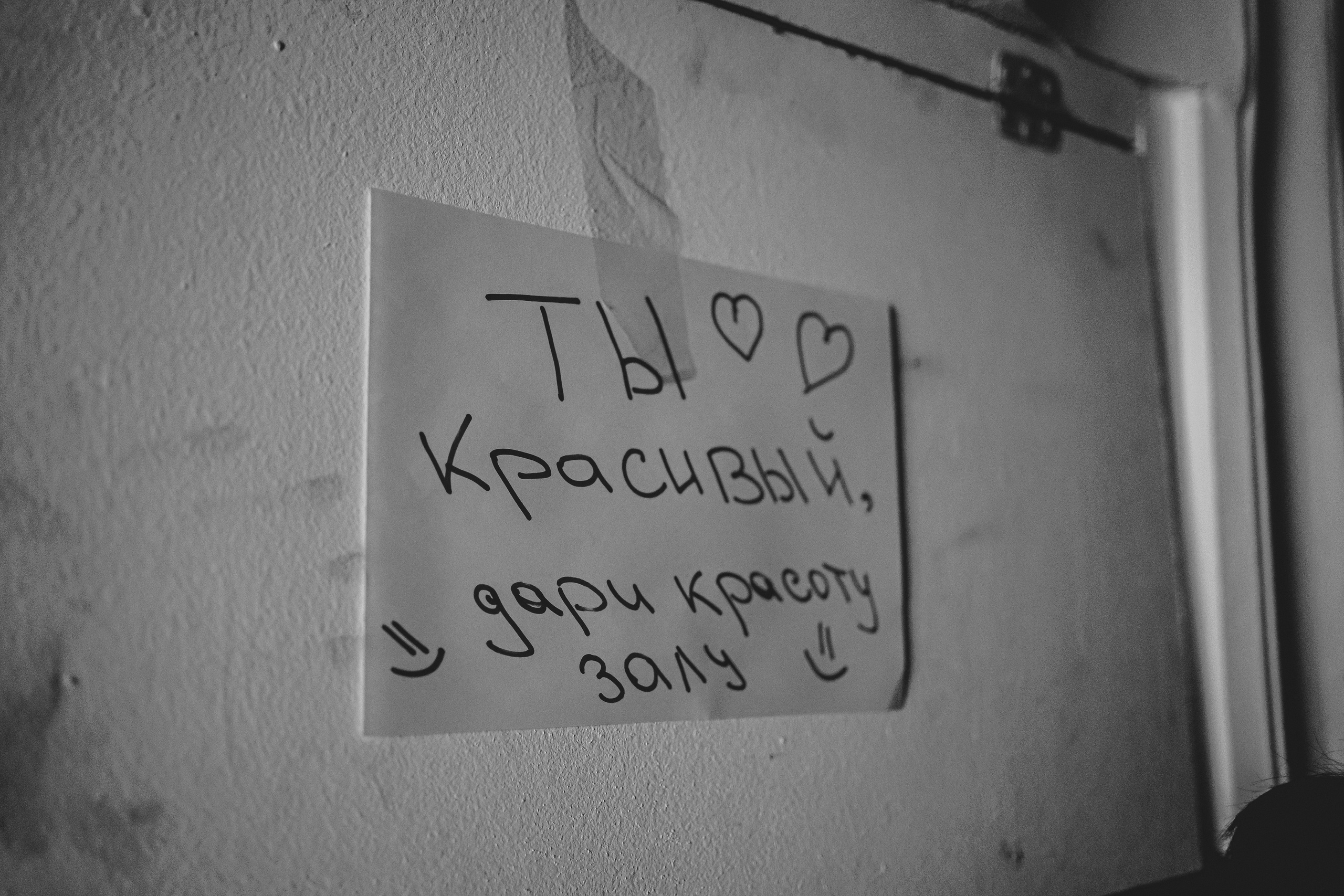 СТУДВЕСНА | КузГСХА | 2022