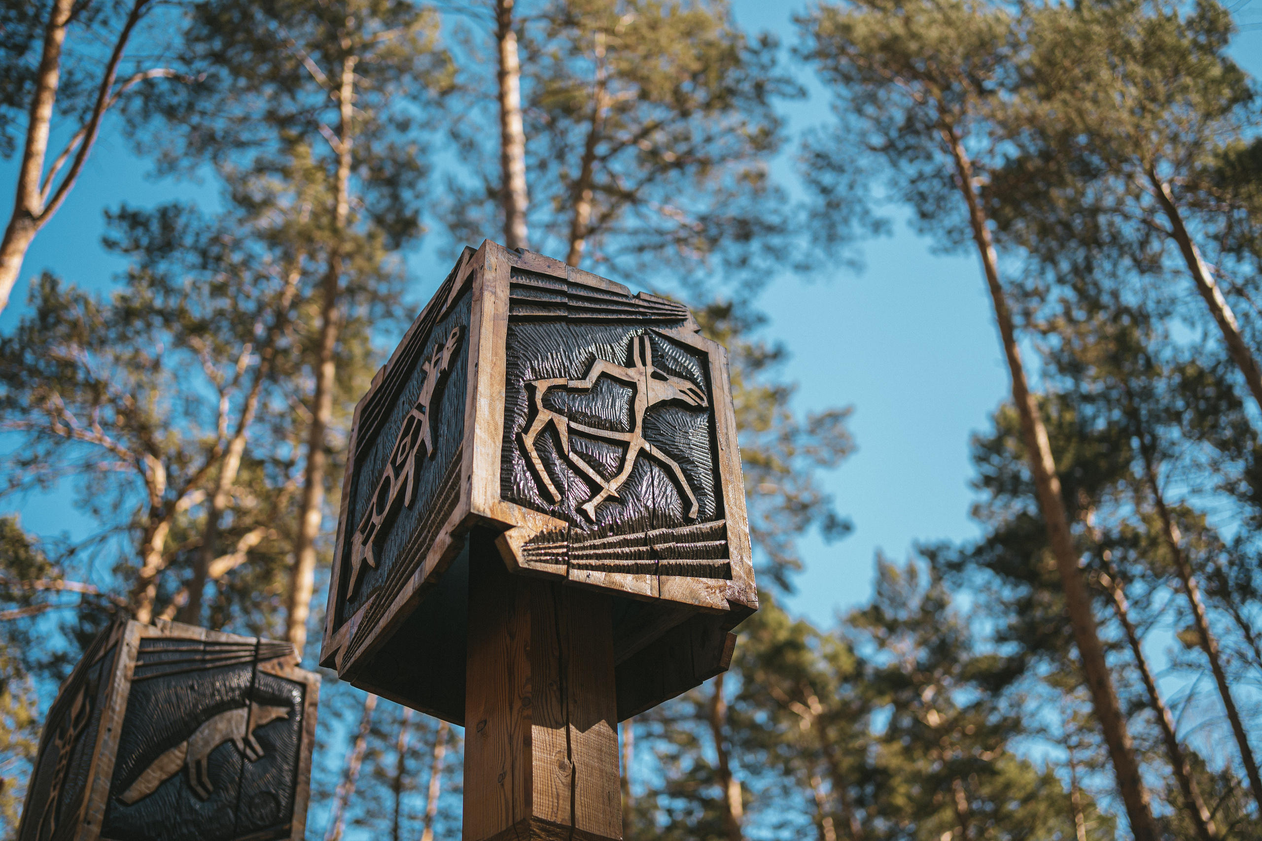 Всероссийская обучающая стажировка АВЦ в Кузбассе | 2022 | Кем-Белово-Новокуз