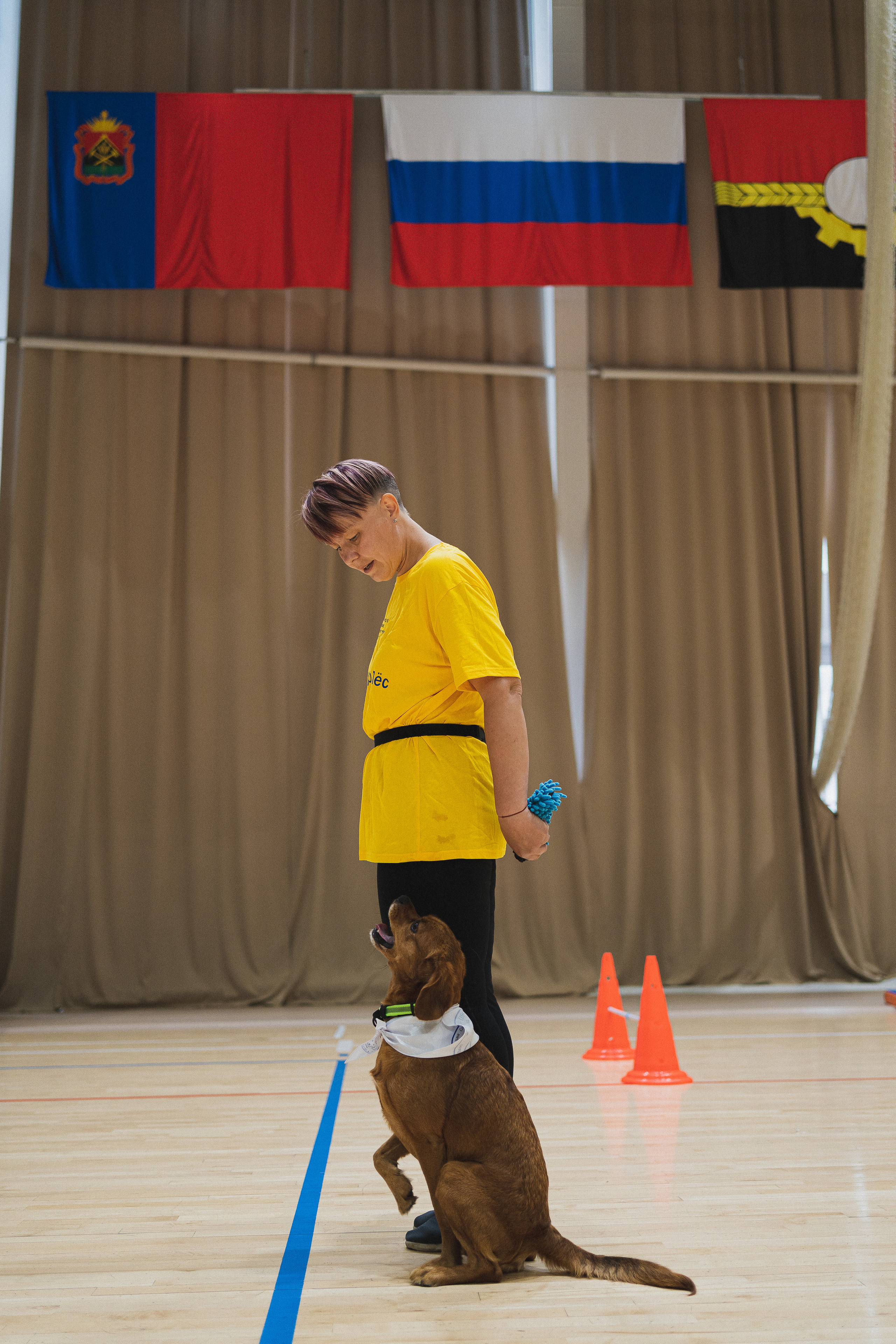 Семейный праздник «Доктор пес & компания» | 2022