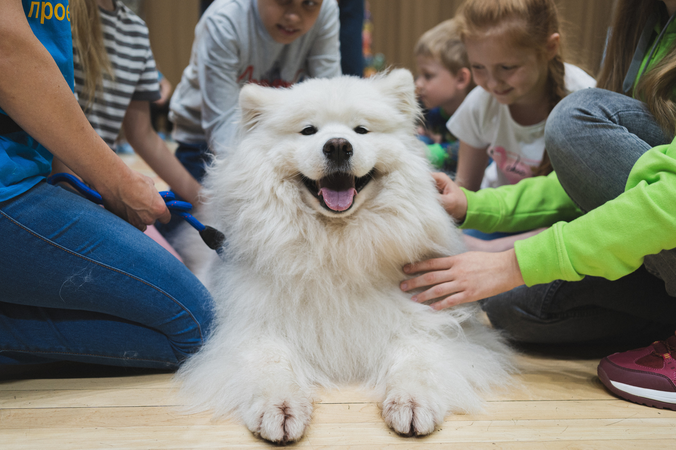 Семейный праздник «Доктор пес & компания» | 2022