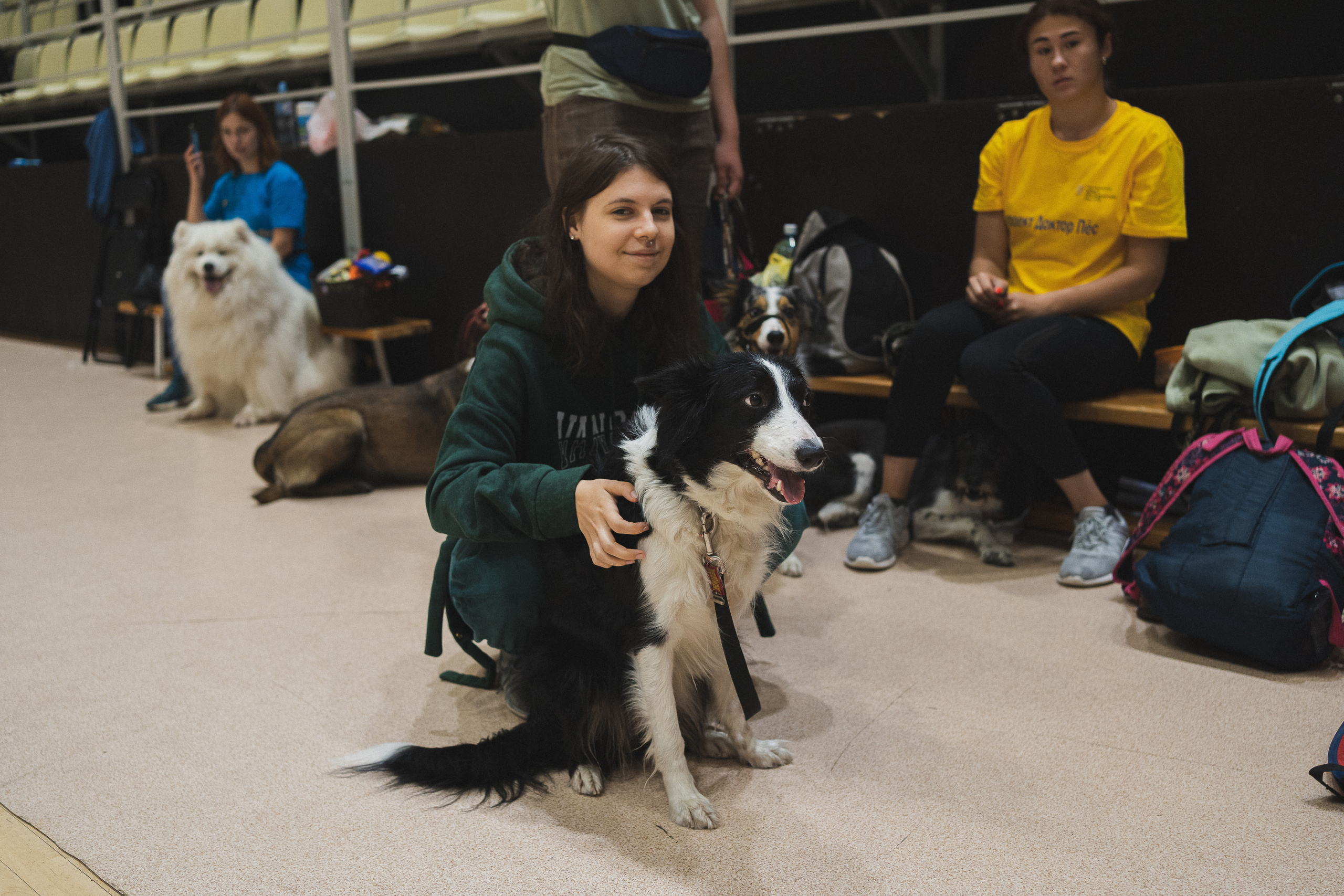 Семейный праздник «Доктор пес & компания» | 2022