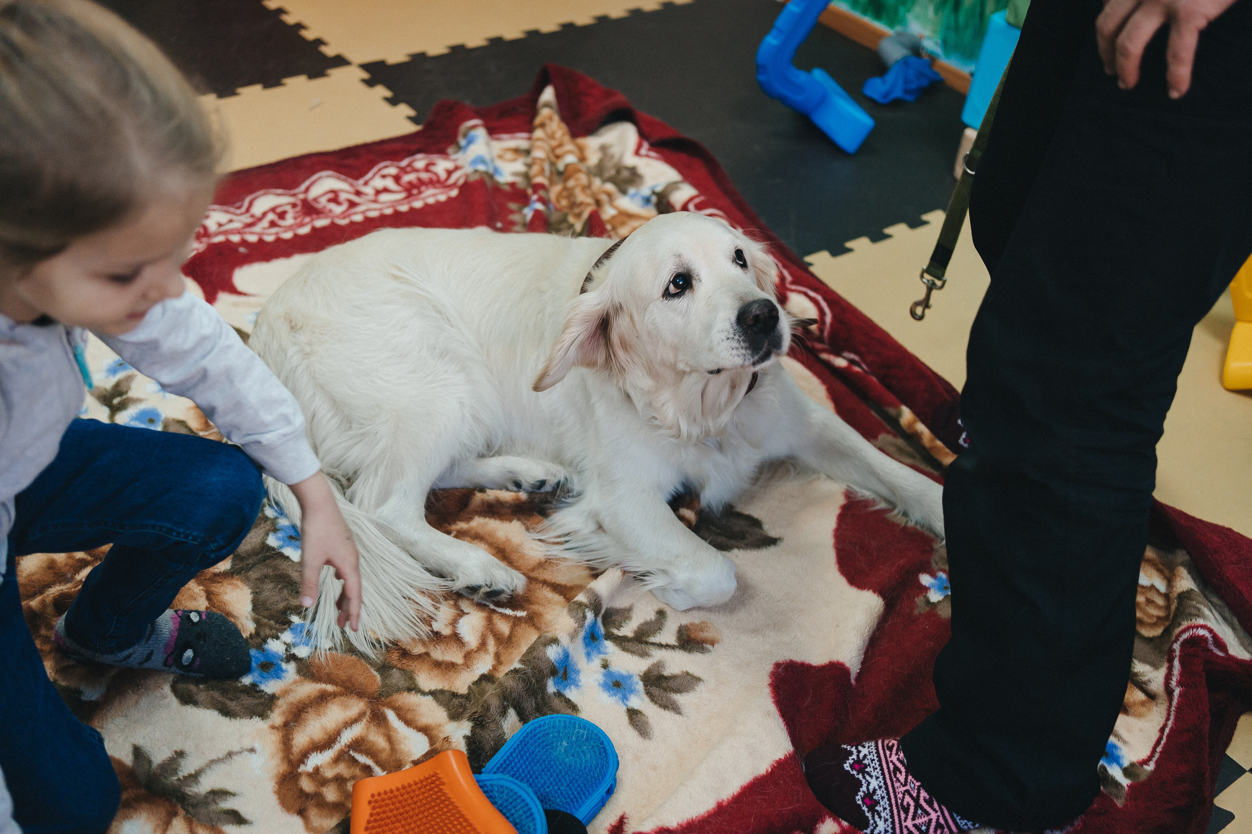 Доктор Пес: канистерапия для детей и подростков с ОВЗ | Кемерово | 2021-2022