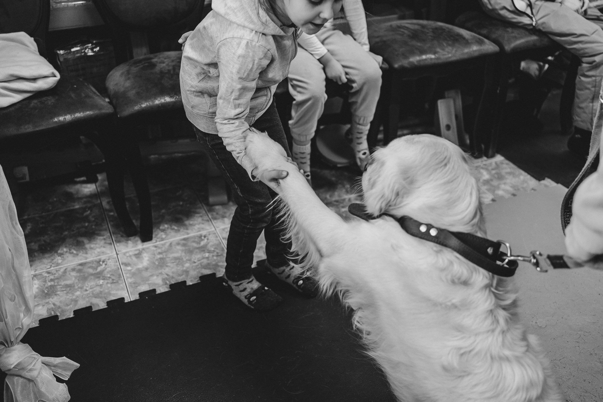 Доктор Пес: канистерапия для детей и подростков с ОВЗ | Кемерово | 2021-2022