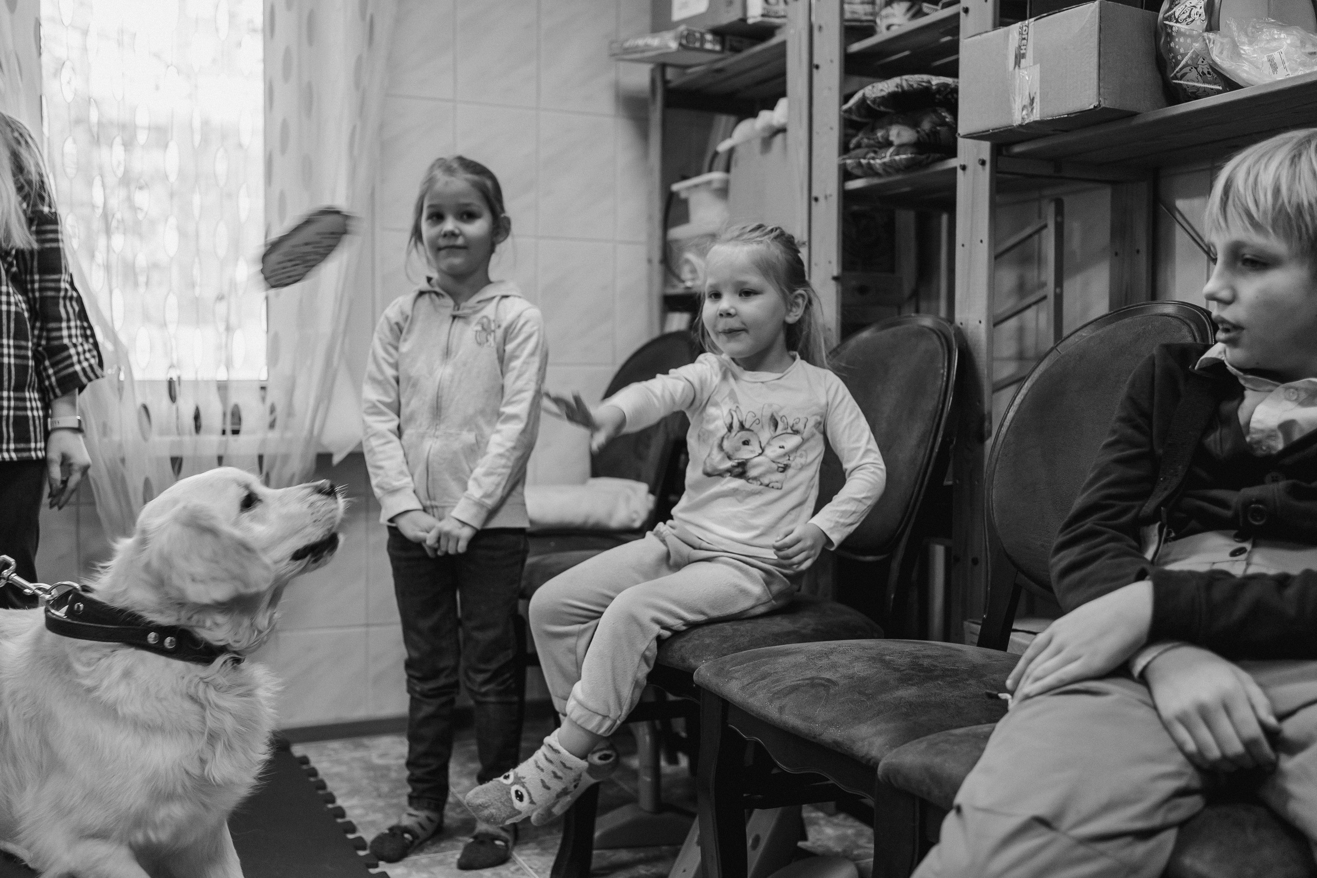 Доктор Пес: канистерапия для детей и подростков с ОВЗ | Кемерово | 2021-2022