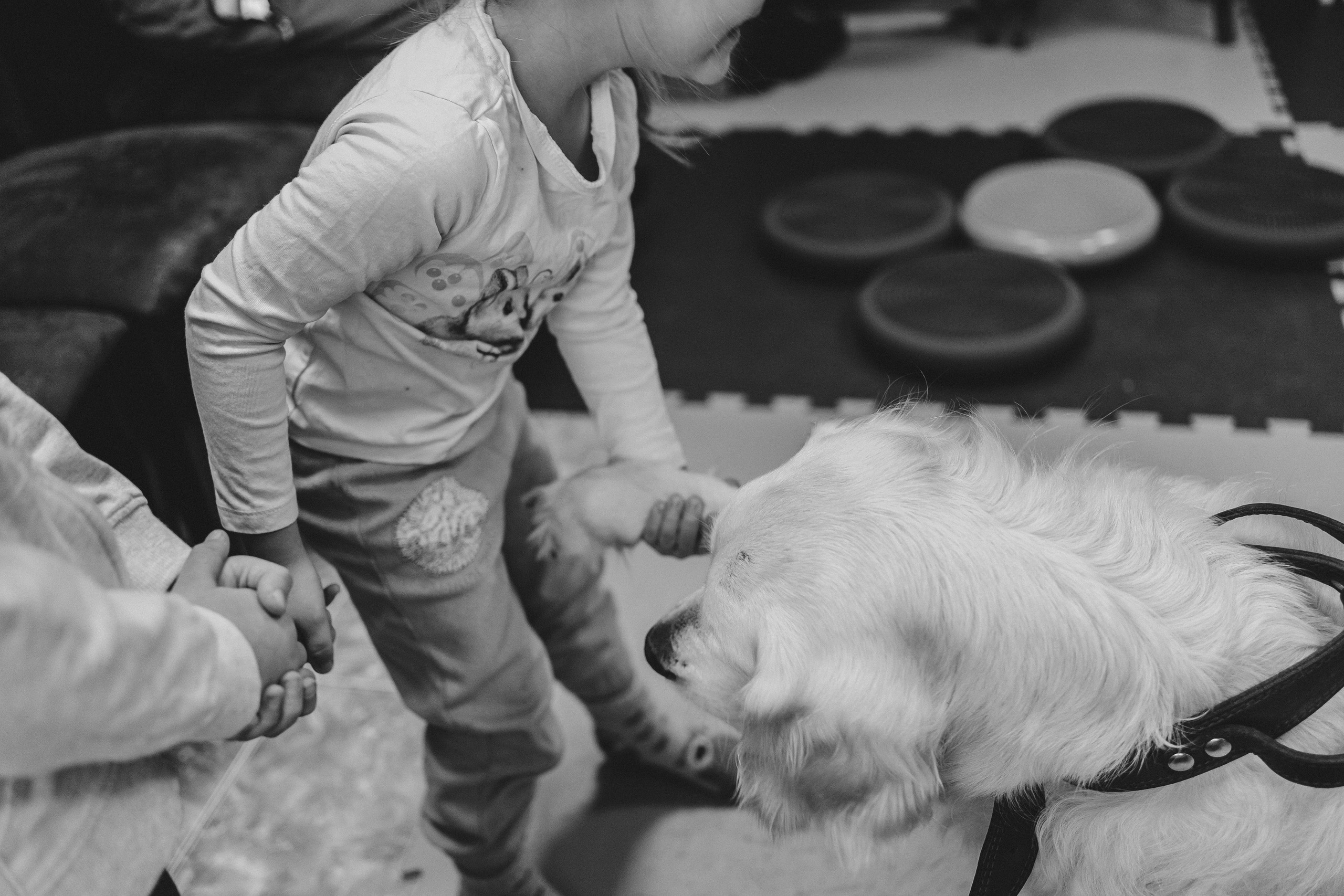 Доктор Пес: канистерапия для детей и подростков с ОВЗ | Кемерово | 2021-2022