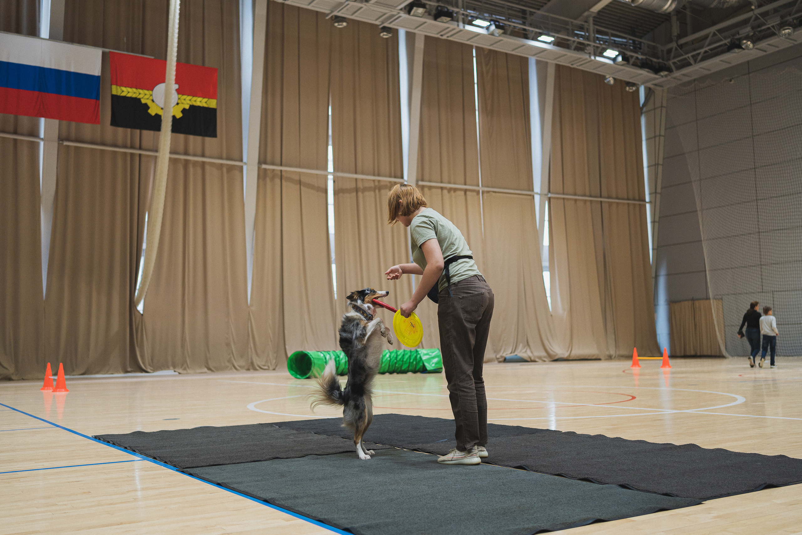 Семейный праздник «Доктор пес & компания» | 2022