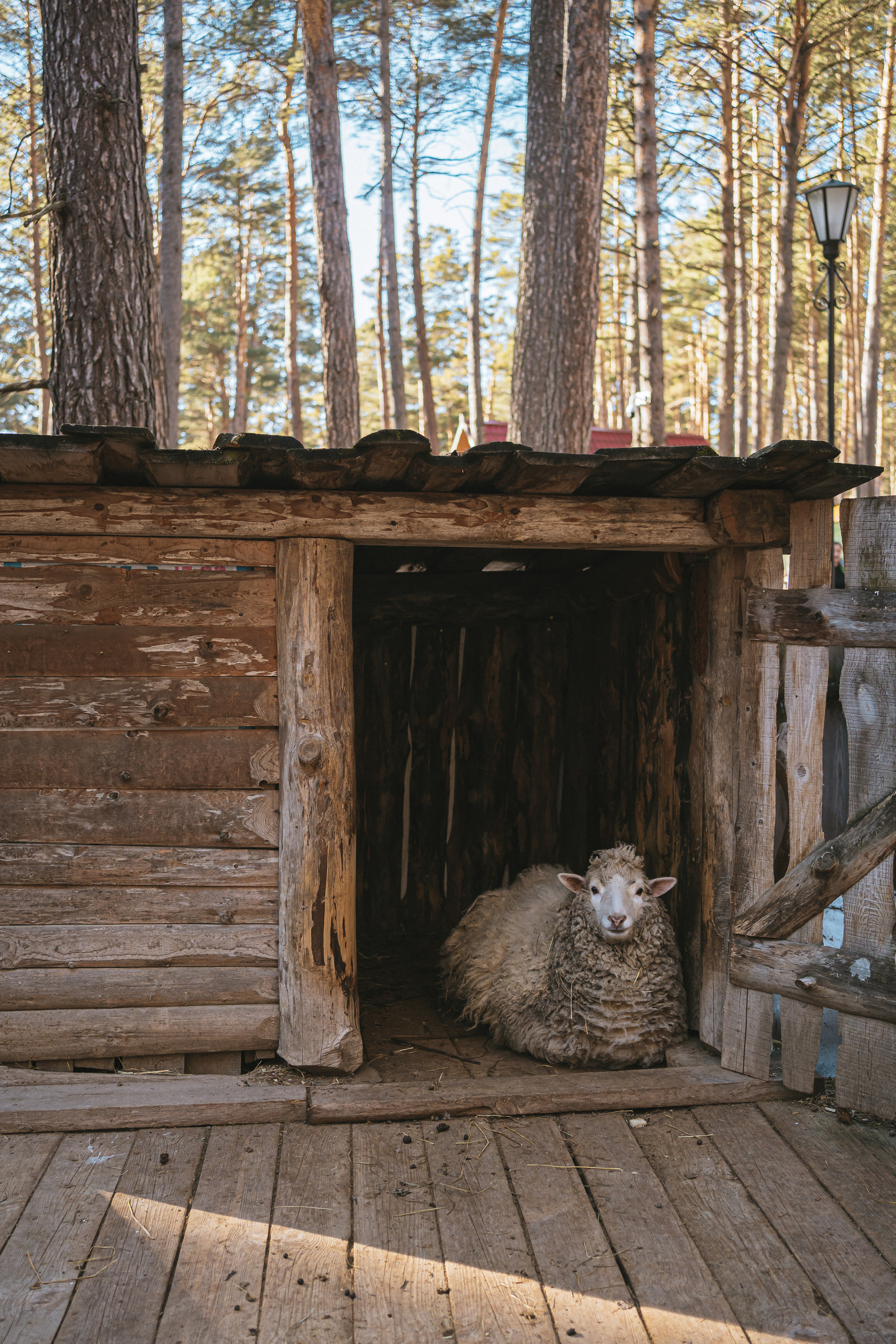 Всероссийская обучающая стажировка АВЦ в Кузбассе | 2022 | Кем-Белово-Новокуз