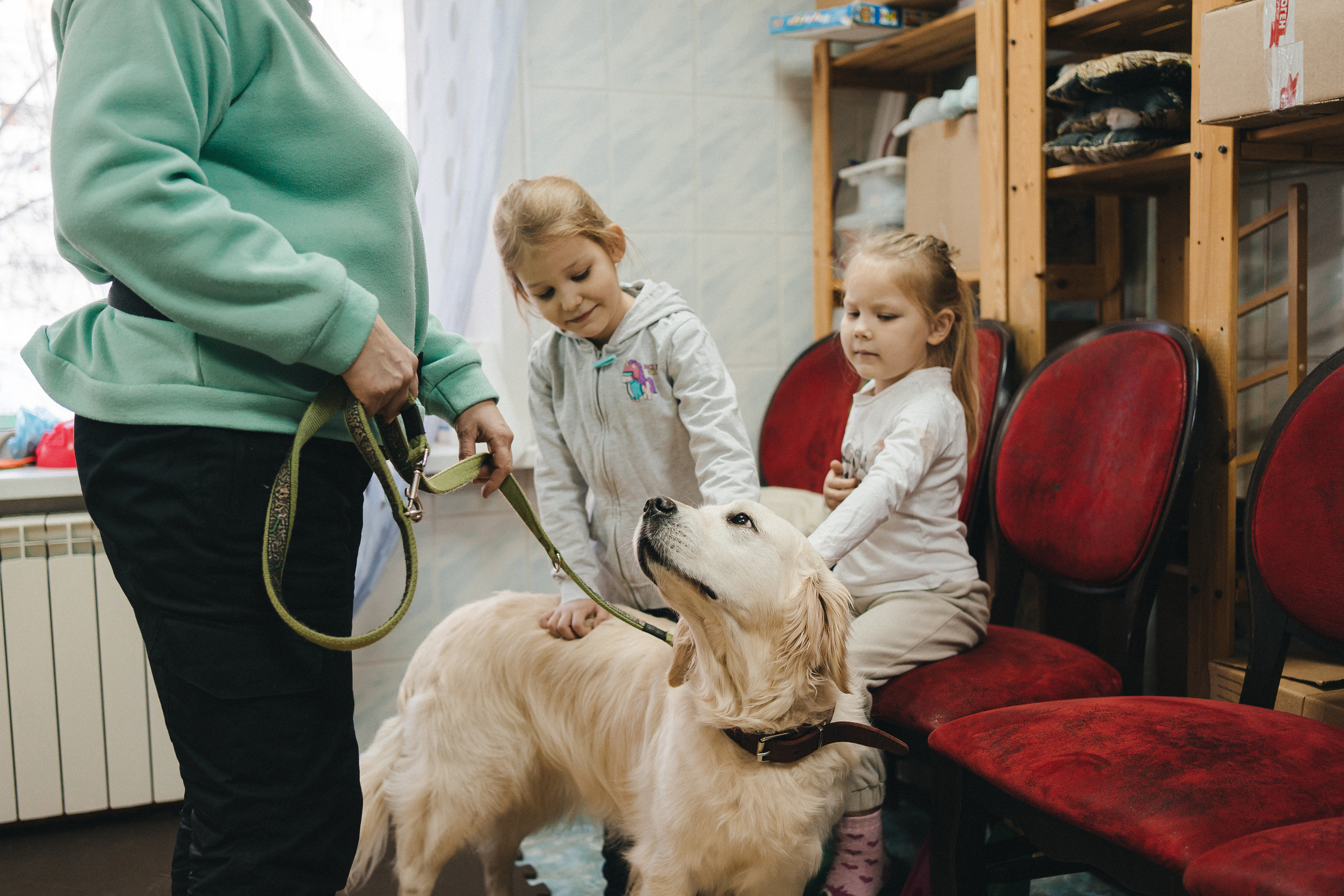 Доктор Пес: канистерапия для детей и подростков с ОВЗ | Кемерово | 2021-2022