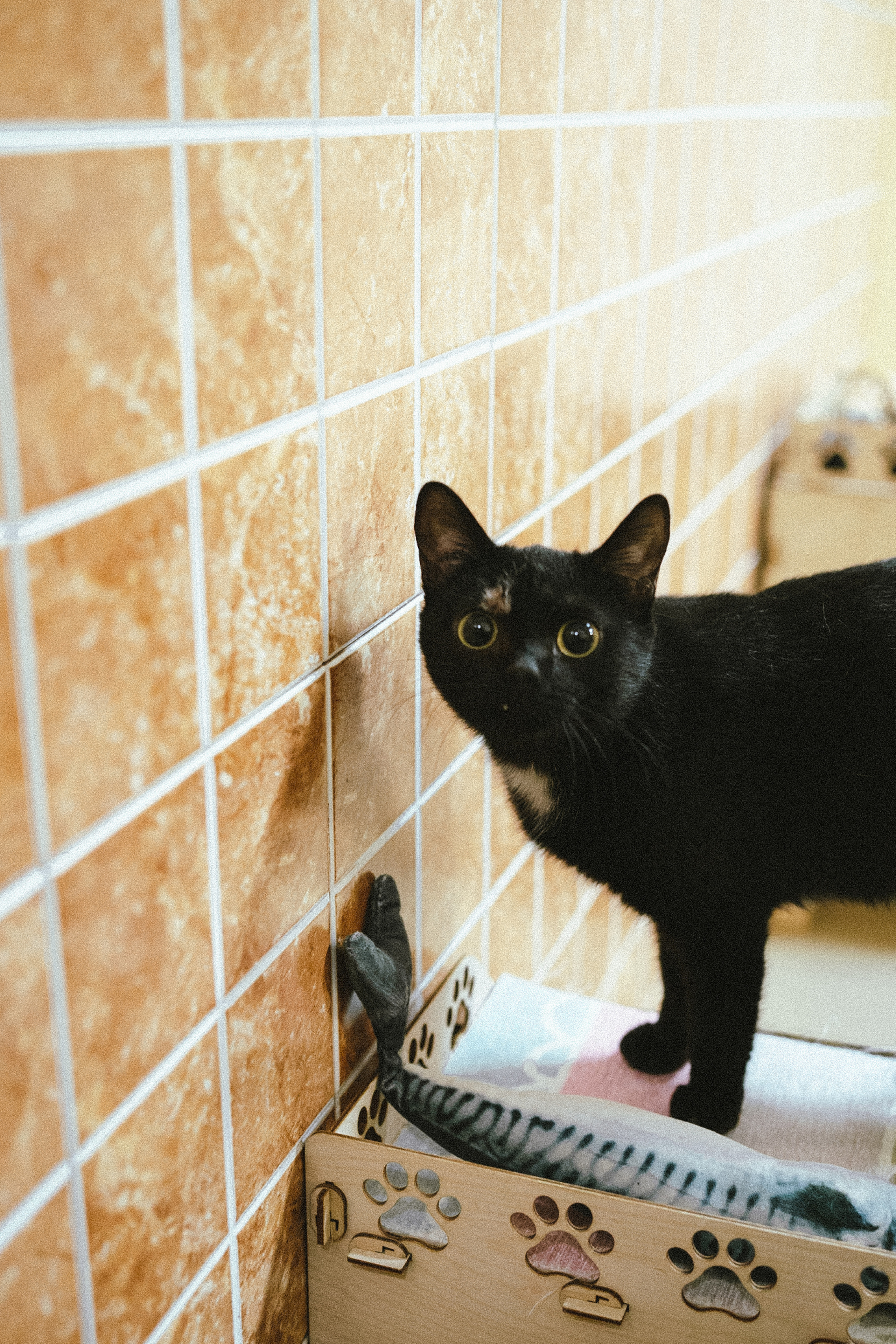 Всероссийская обучающая стажировка АВЦ в Кузбассе | 2022 | Кем-Белово-Новокуз