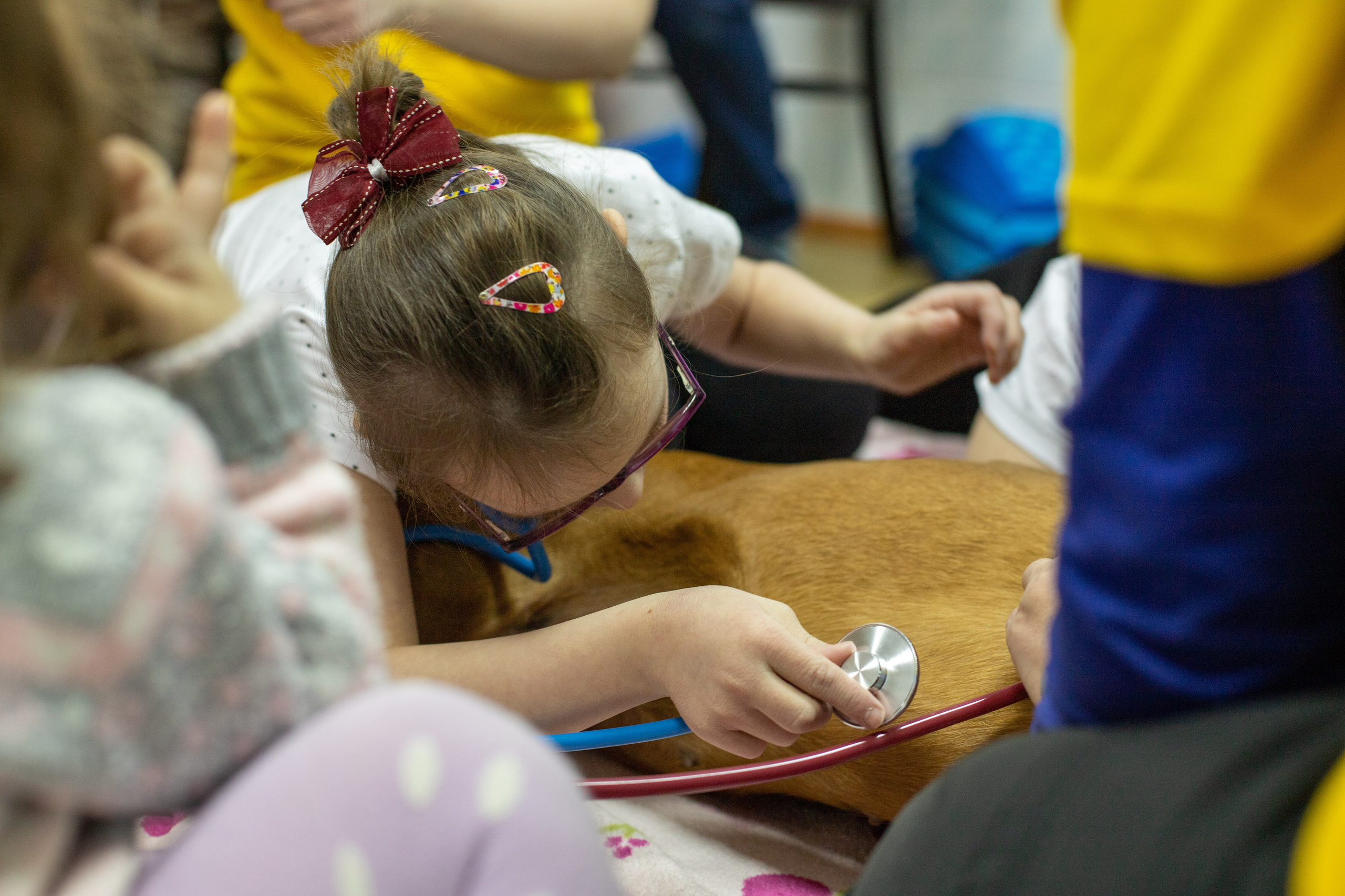 Доктор Пес: канистерапия для детей и подростков с ОВЗ | Кемерово | 2021-2022