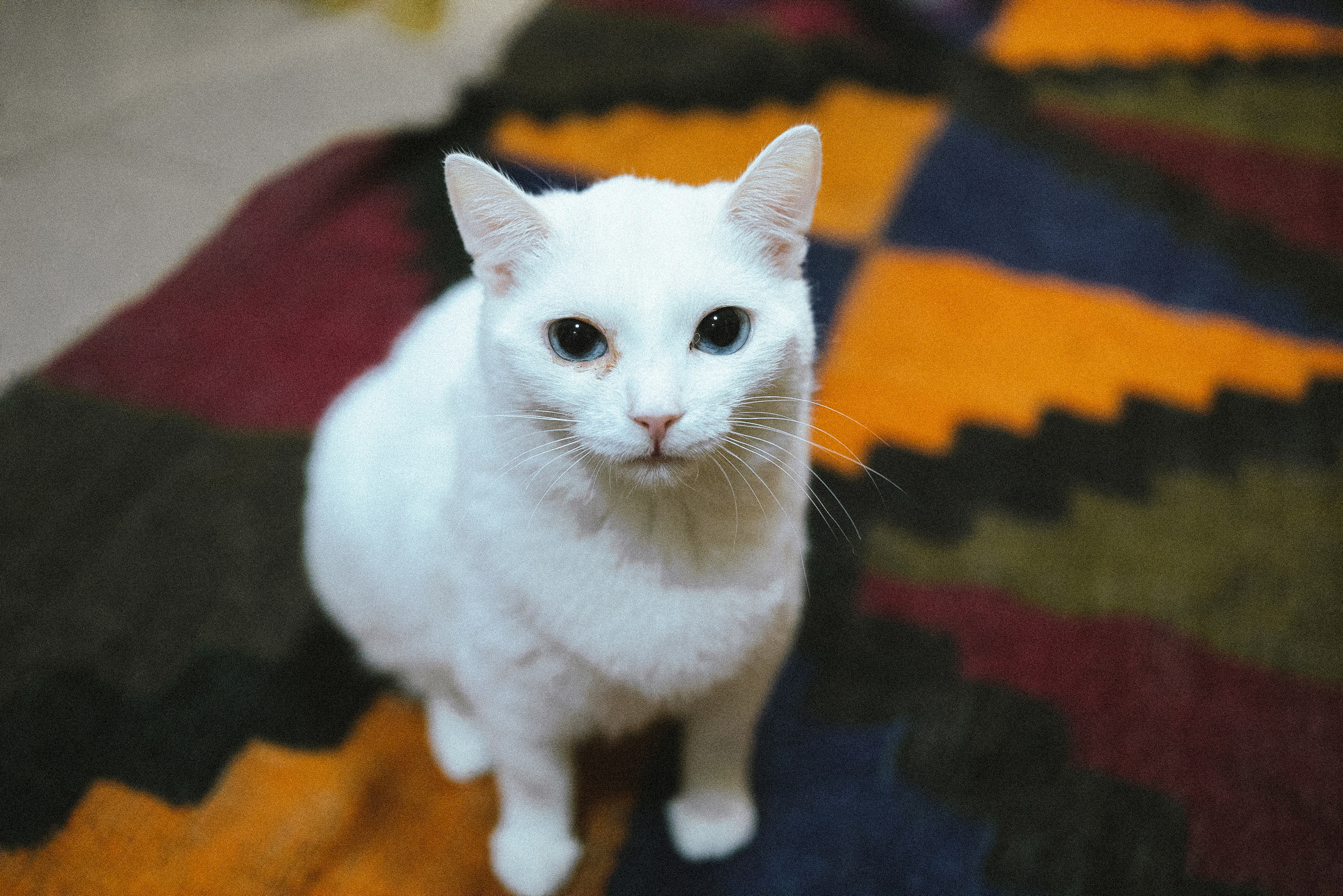 Всероссийская обучающая стажировка АВЦ в Кузбассе | 2022 | Кем-Белово-Новокуз