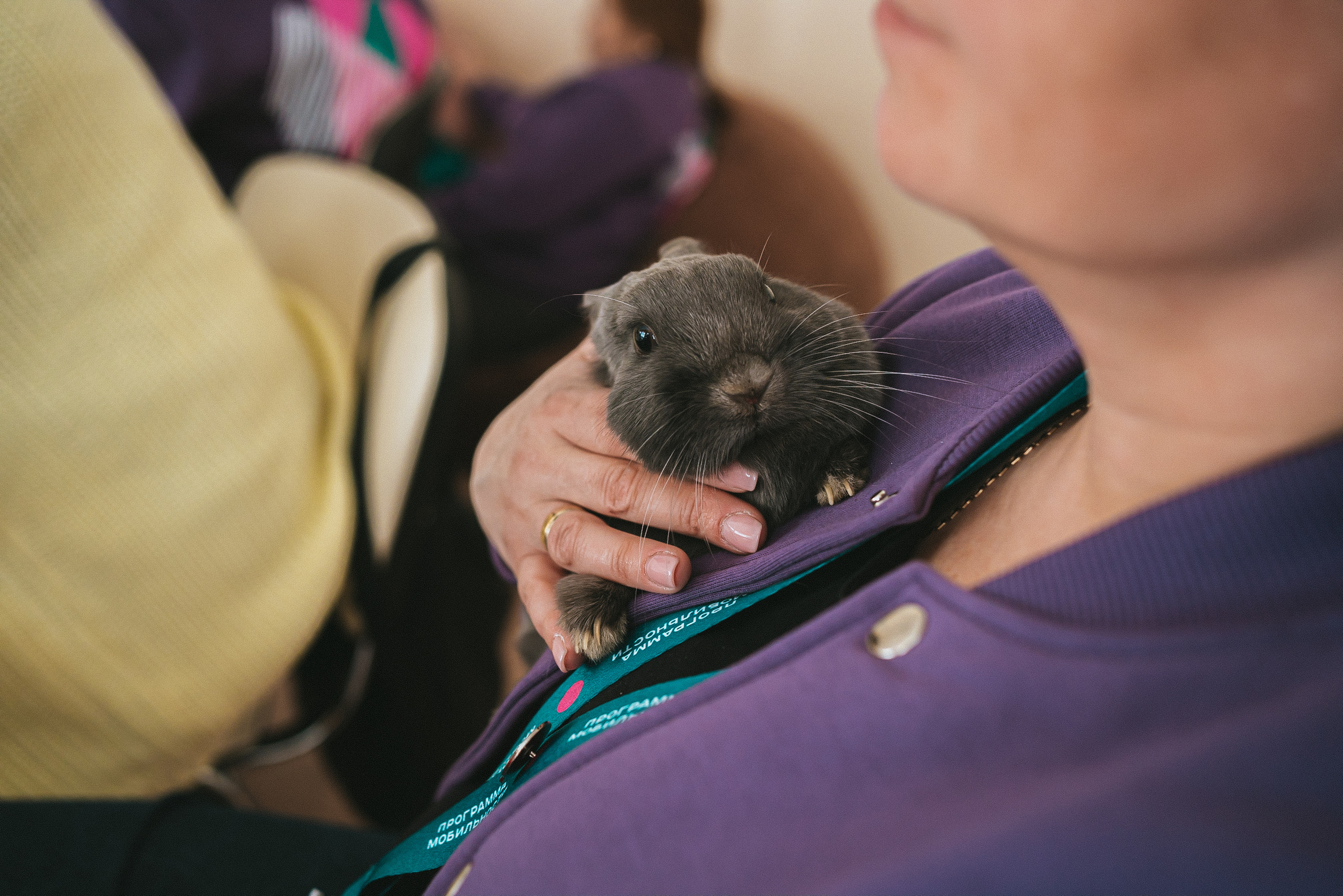 Всероссийская обучающая стажировка АВЦ в Кузбассе | 2022 | Кем-Белово-Новокуз
